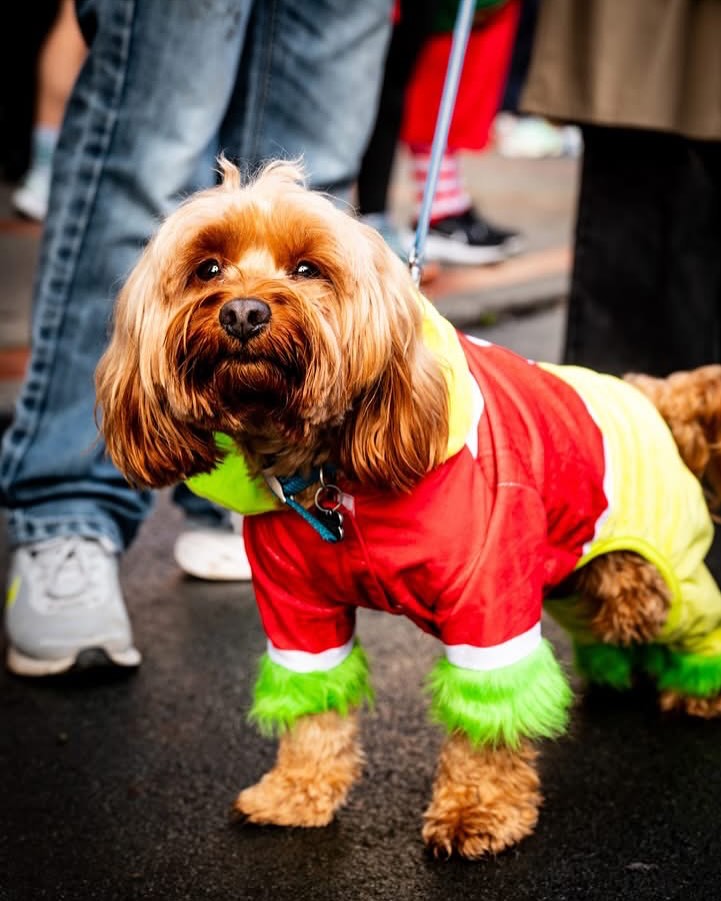 Newtown’s light switch-on last weekend brought festive cheer to the town, with crowds enjoying the Santa Run, glowing illuminated bikes, and a beautiful performance by the choir.
The night ended with a spectacular fireworks display lighting up the sky and kicking off the season in style.
Take a look at just some of the moments we captured and relive the magic! @newtowntowncouncil @severnvalley_events #newtown #santarun #santa #isawsanta