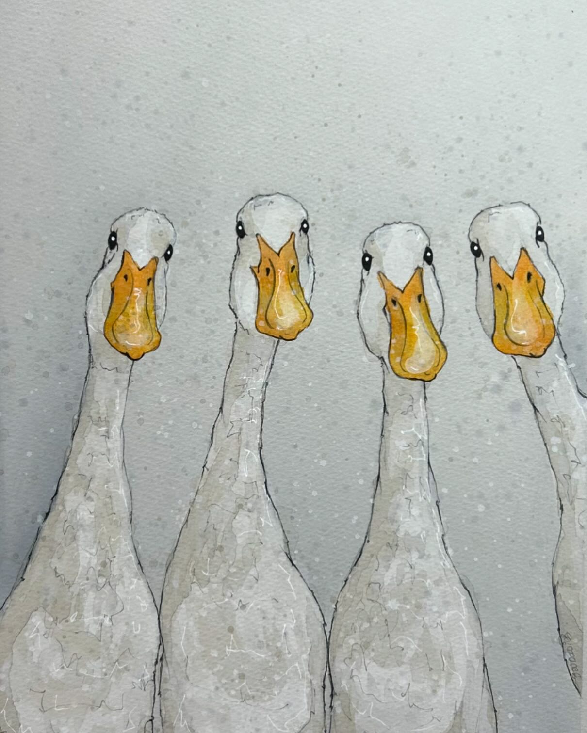 It’s good weather for ducks here in the UK with the storm currently whirling around my studio .. This group are wondering what on earth all the noise is ..
