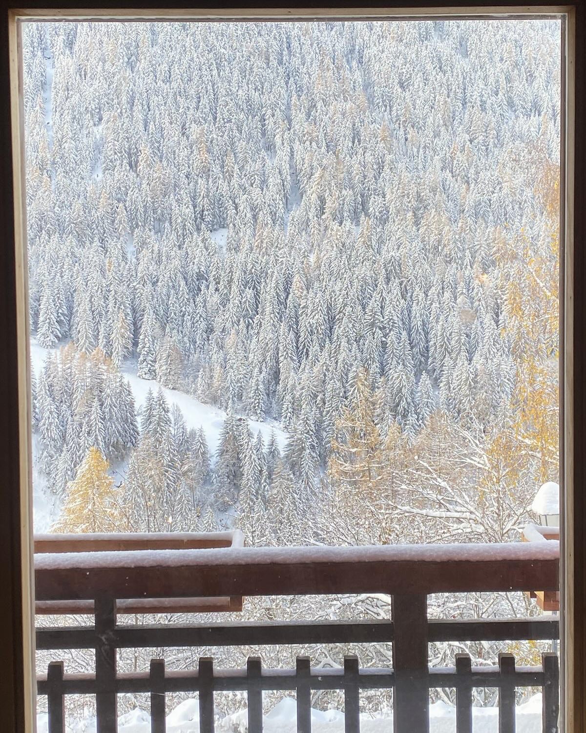 Weekend vibes ❄️ Plus skiing from the village!
Zinal is now open 7/7 for lift assisted ascent 😉
#winterishere #skichalet #chaletlife #chaletholiday #skiing #skitouring #valdanniviers