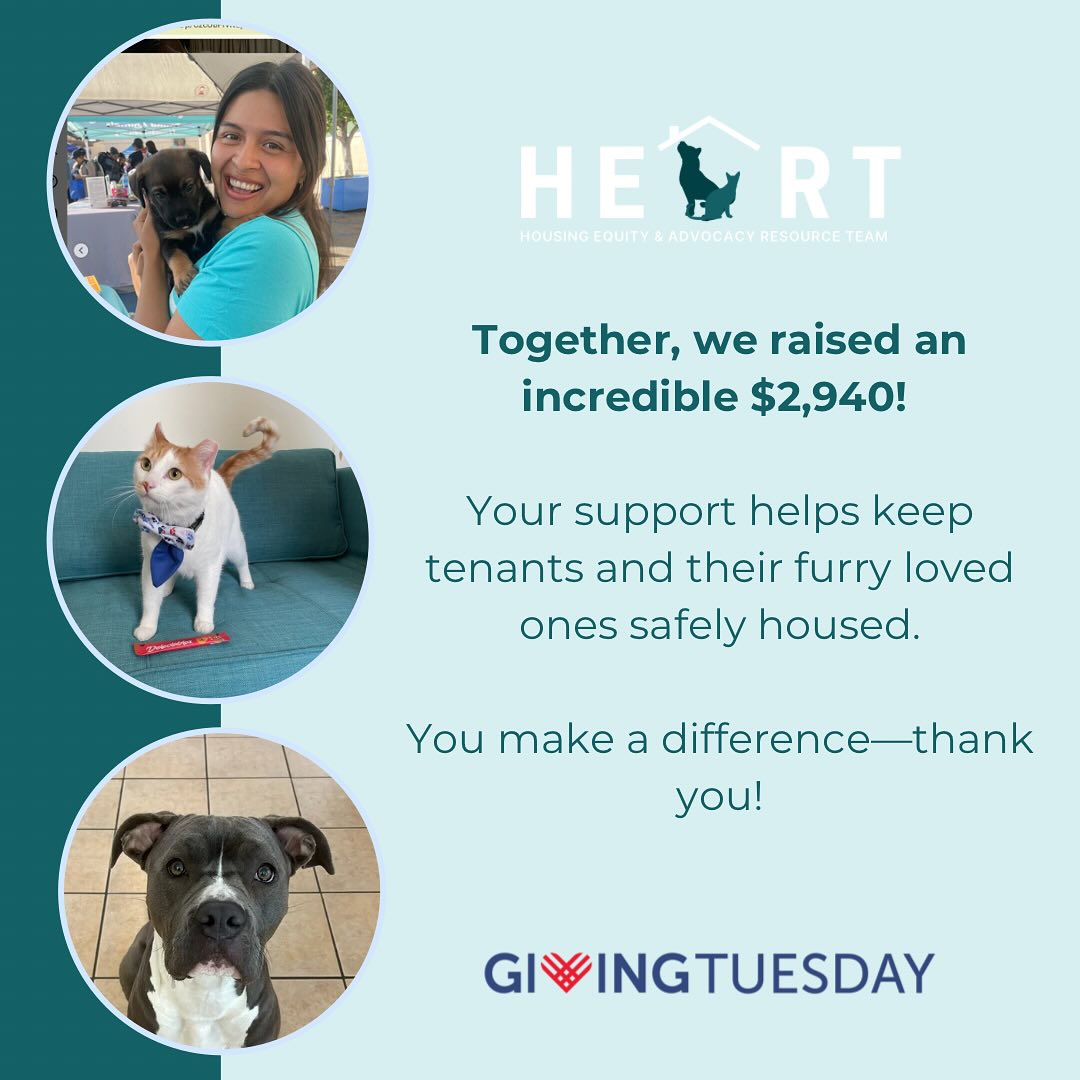 Thank you all for contributing to our mission! We have so many exciting projects kicking off in 2025, stay tuned šš¾