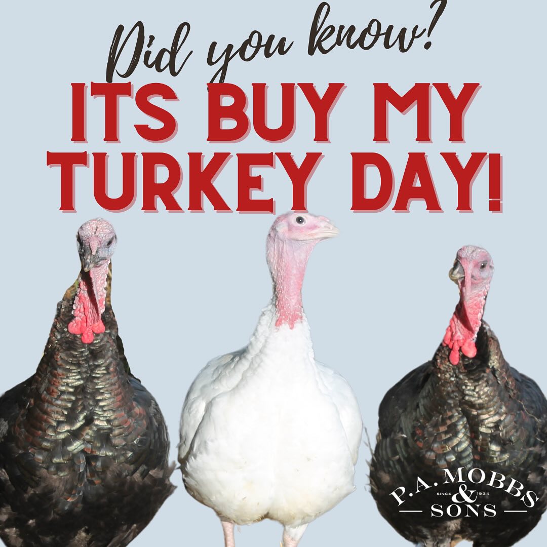 It’s #buymyturkey day!!! Our annual celebration of our wonderful turkeys and a reminder to buy local if you can this Christmas!! 🎄 🦃 🍗
Why buy your turkey from us?
Well there are a more reasons than I have time and space for here but just as a start…
When you buy a turkey from us you support a small business that employs local people and cares about the local community, and if you buy through one of our butchers or farm shops you’re supporting two!
When you buy from us you are choosing a turkey you know was looked after and allowed to have a good life, free range with a natural growth process and natural feed grown right here on our farm.
When you buy from us you know we have 90 years and 4 generations of experience behind our process, every bird is traditionally hung before being oven readied to develop its flavour and ensure it cooks nice and quickly so there’s no chance of a dry Christmas dinner!
So please support your local turkey farmer this Christmas (even if it isn’t us!) choose local over supermarket, because we really really care about what we do, and you will be able to tase it!
#mobbsturkey #buymyturkey