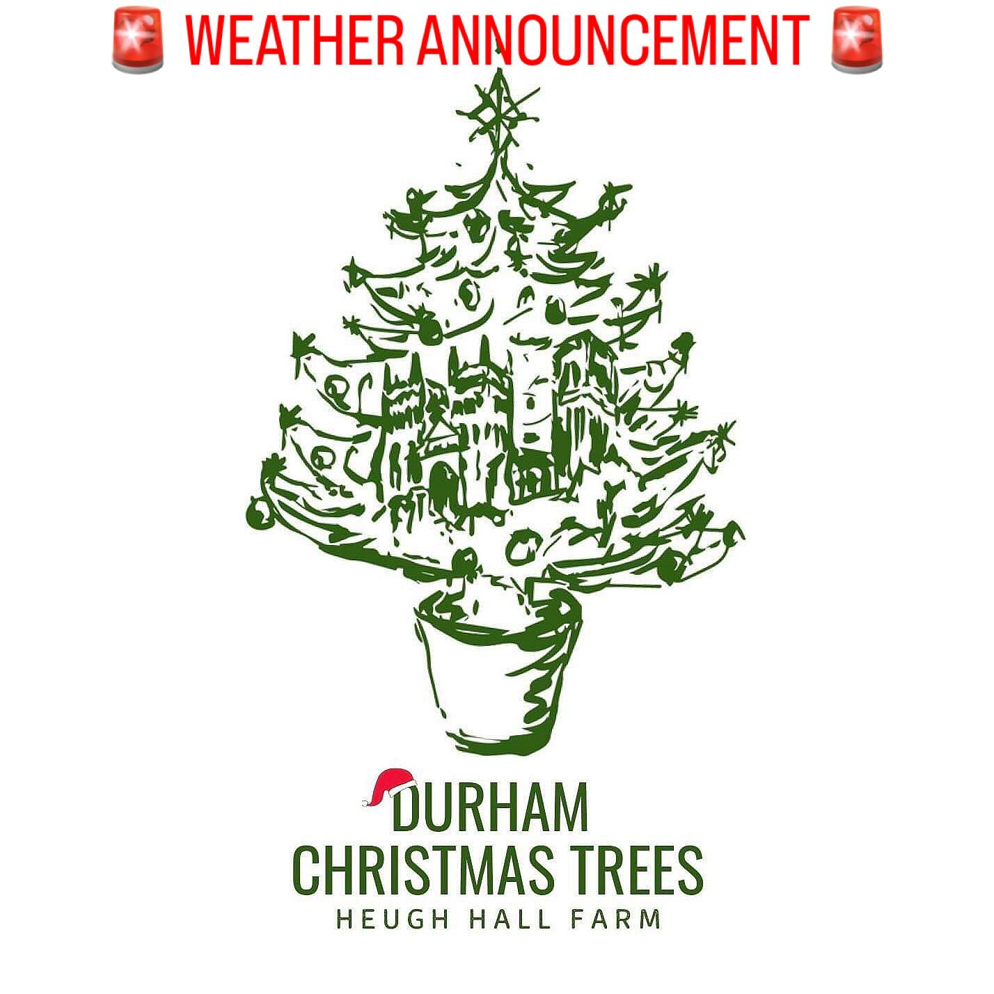 🚨SATURDAY CANCELLED🚨
💨 🌧️ Due to safety concerns we are unable to open this Saturday.
🎄 SLOTS CAN BE MOVED - Anyone with a booking for Saturday 7th or Sunday 8th can come on Friday 6th if they are able or Sunday 8th if we are able to open.
🎄 Friday 6th - We are open today 10.30am -4pm for PYO and freshly cut trees. Come along anytime, the forecast looks good so this is the best time to visit us!
🎄 Sunday 8th - We are hoping to open, however we will be monitoring how the storm progresses. We will update our social media & website with a decision at 6pm on 07/12/24.
🥾 WELLIES are a must for those visiting the plantation this weekend.
🎄 Anyone with a Saturday booking will be contacted by us shortly.