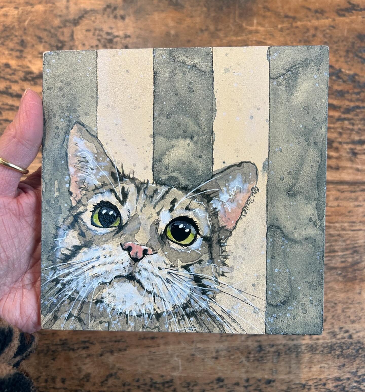 “Little Kitty “ watercolour and ink Original on varnished wooden panel… going on my website later today if she isn’t snapped up by then ..
£50 with free UK postage guaranteed before Christmas
15 x 15 cm panel