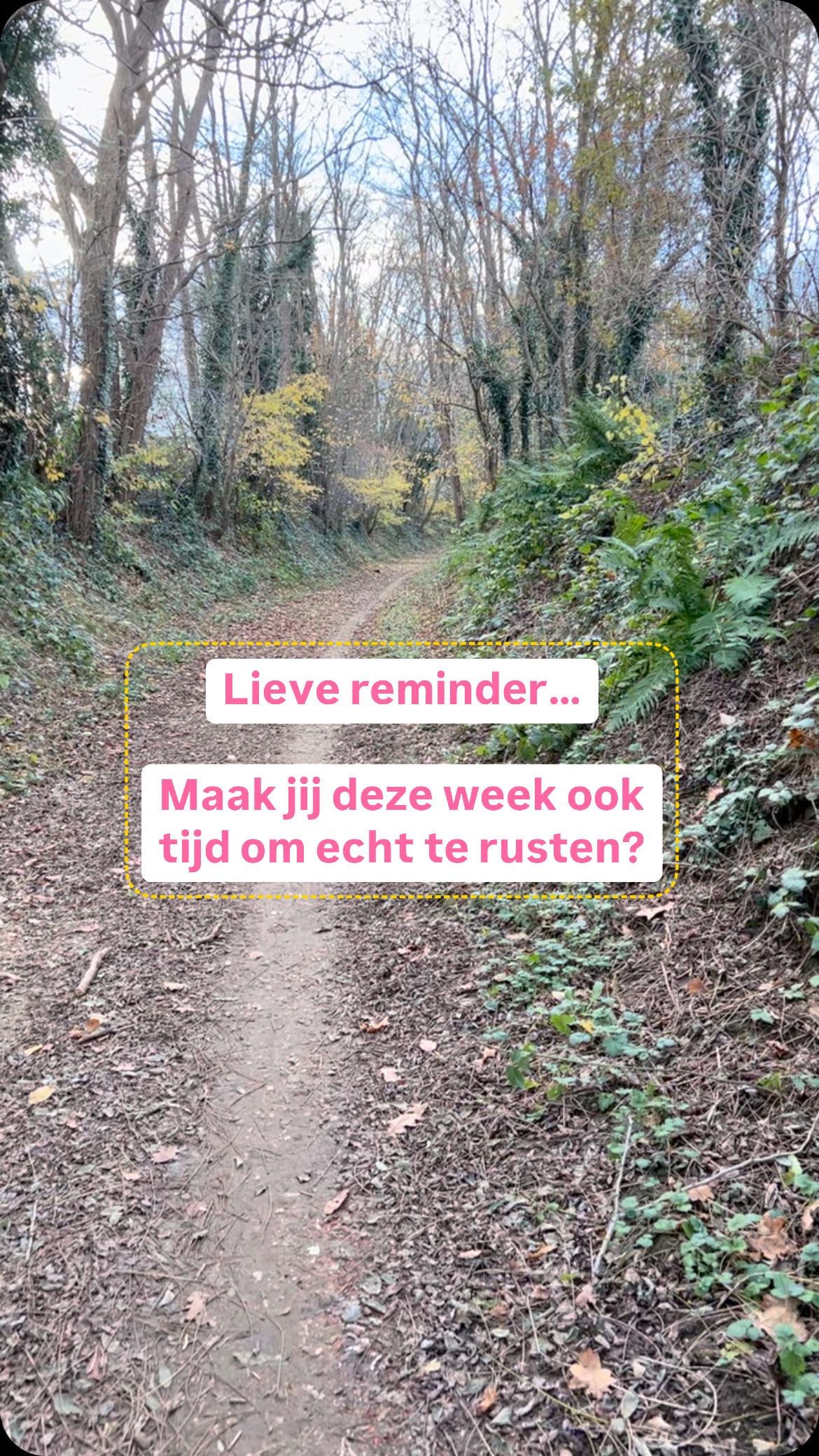 Ik weet nog dat iemand het me zei en dat ik wel kon ontploffen. Ik had daar geen tijd voor!!!! Maar dat was wel in de periode dat ik het net echt nodig had. Het was wel de reminder die ik toen nodig had.
Het werkt niet om maar te blijven gaan. Dus daarom deze lieve reminder voor jou. 😍
Sla hem eventueel op voor later.