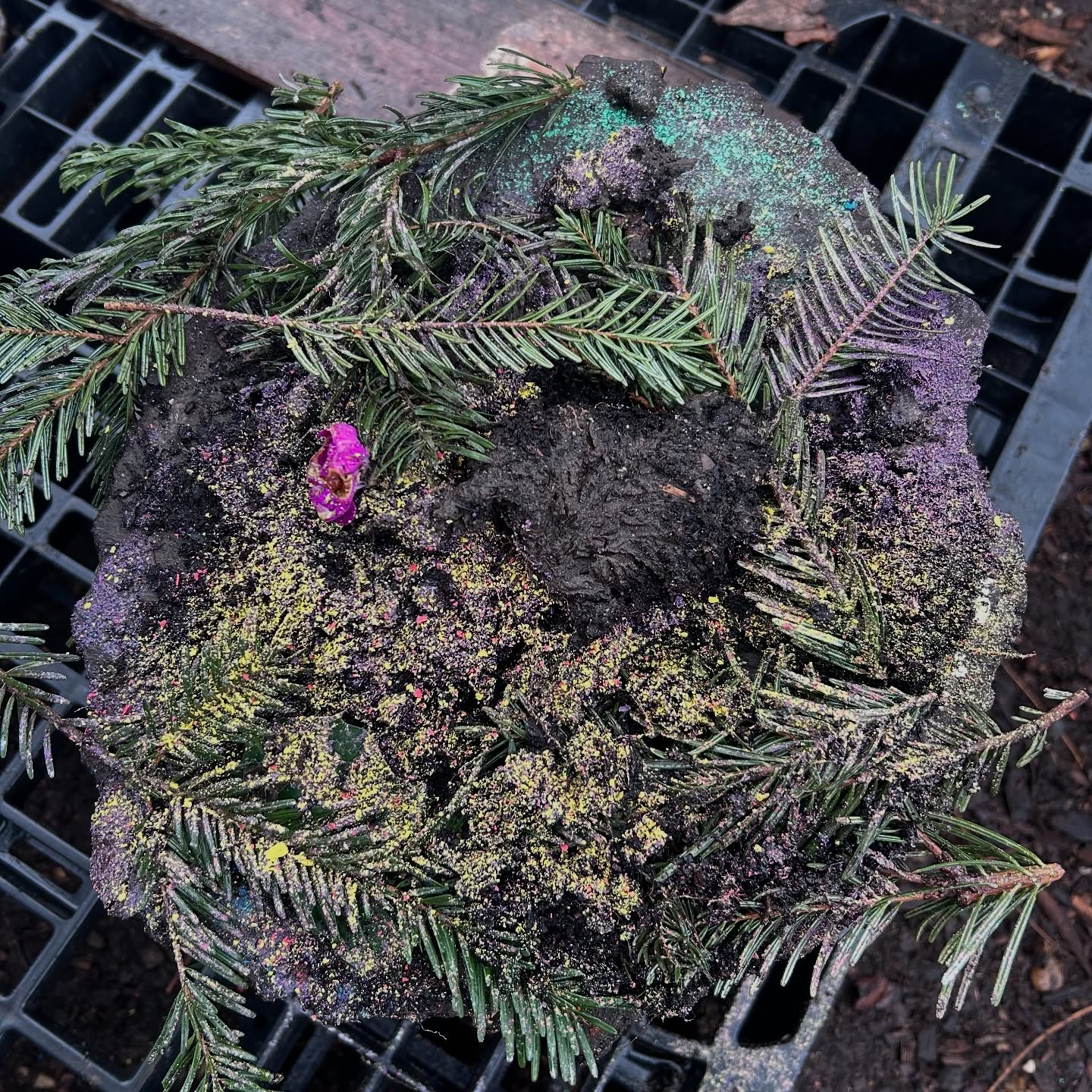 Christmas ‘wreath cake’ made from mud, Christmas tree twigs and chalk sprinkles. Amazing festive work from my Year 2 daytime group! #christmasmudplaytime #mudplay #natureplay #urbanforestschool #urbanforestschoolideas #outdoorlearning #outdooreeducation #hackneyoutdoors #rewildthatchild