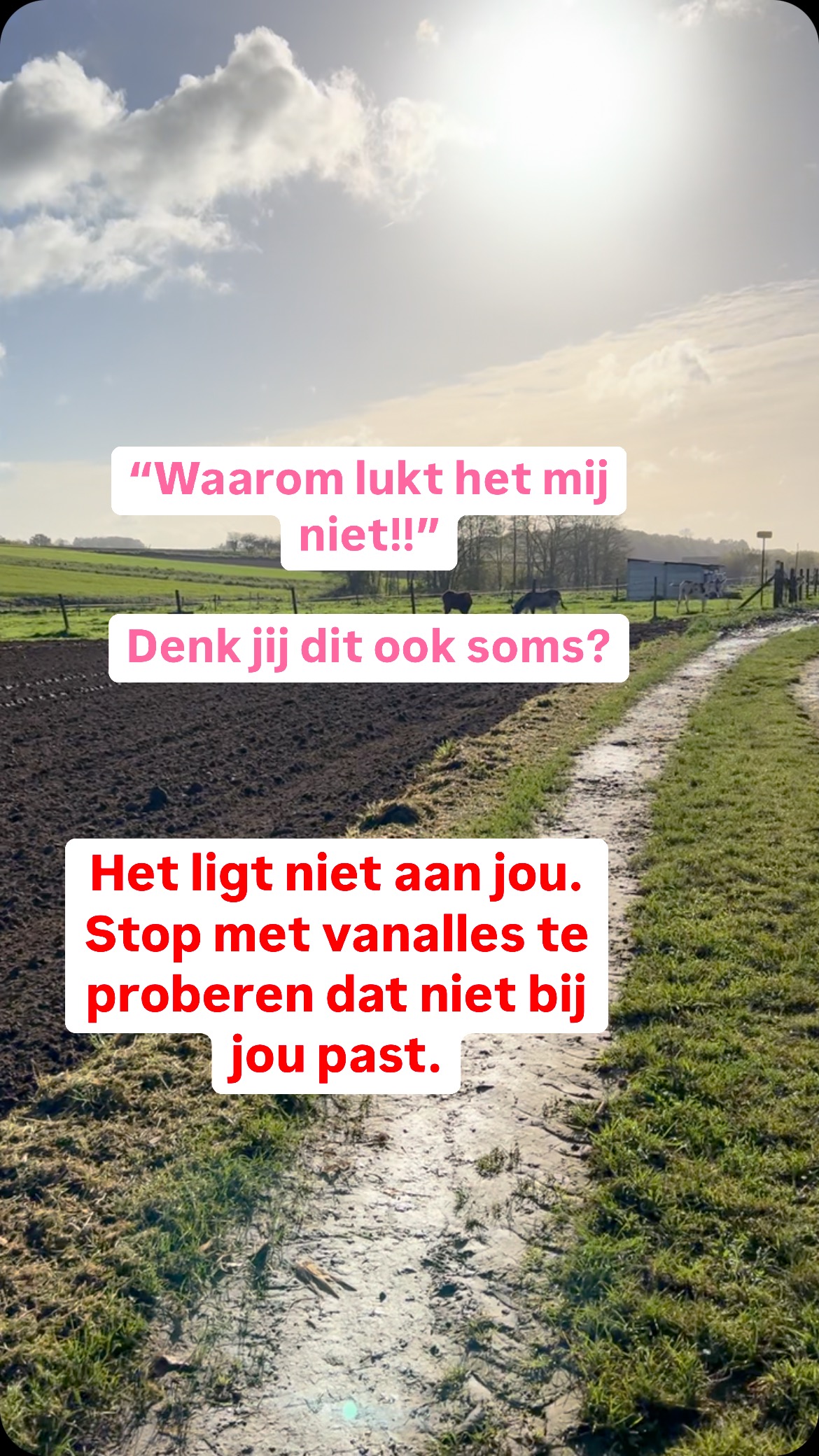 Waarom lukt het haar om elke ochtend om 5 uur op te staan?
Waarom lukt het haar om te werken met een realistische planning?
Waarom lukt het hem om dagelijks te wandelen?
Het lijkt bij anderen altijd te lukken. Ik had vroeger zelf dus regelmatig deze gedachte: “Waarom lukt het al die anderen en mij niet!”
1. Ieders situatie is anders.
2. Ieders prioriteiten liggen anders.
3. Het heeft niets te maken met wilskracht of slap zijn. Niemand kan alles.
4. Wat we te zien krijgen van anderen is vaak een momentopname. Een klein stukje. We zien vaak niet wat mis loopt of niet goed lukt.
5. Vaak doen we deze dingen op manieren die niet bij ons passen. Dan kan het nooit echt werken.
Plannen is iets universeels. Want we hebben best een systeem om alles te verzamelen en op te slaan. We worden immers overspoeld door tsunami’s aan info en taken… Het is niet meer mogelijk om dat met ons hoofd te doen. Maar bouw het op een manier die echt bij jou past, bij jouw werk en leven.
Mijn traject HOW TO PLAN bouw ik heel bewust zo op dat je niet leert plannen hoe ik het doe maar hoe het echt bij jou past. Ook rekeninghoudend met jouw saboteurs die roet in het eten kunnen gooien.
De deuren zijn nu tijdelijk open. Reageer hieronder met PLAN of via DM en ik stuur je vrijblijvend alle info door.
Let’s plan!