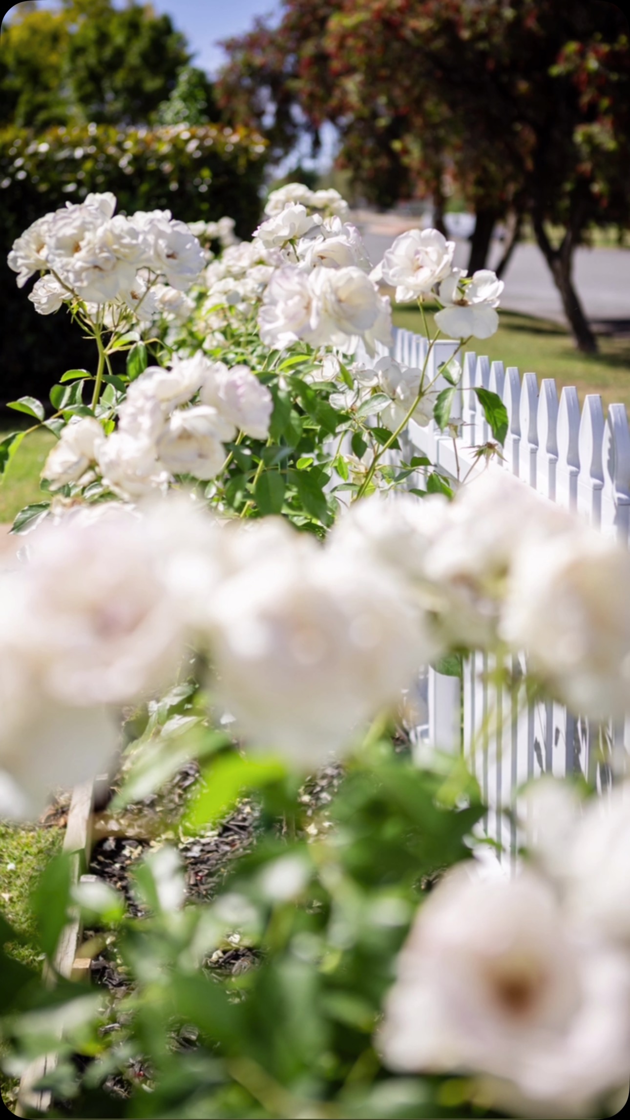 This could be your next favourite spot to unwind ππ Relax and recharge in our charming cottage, complete with all the modern comforts you need for the perfect getaway www.theqcottage.com.au
A huge thank you to #annecooperphotography for these gorgeous shots ππ