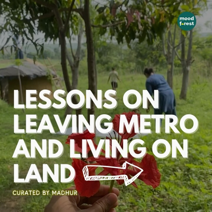 Are you dreaming of living on a farm?
Here are 30 lessons for anyone thinking of making the switch 💃🏻🌳
Curated by @madhur.moodforest
#wellness #natureliving #biohappiness #forestfasting #wellbeing #foresttherapy #livingonland #farmlife #citylife #sustanability #sustainableliving #climatechange