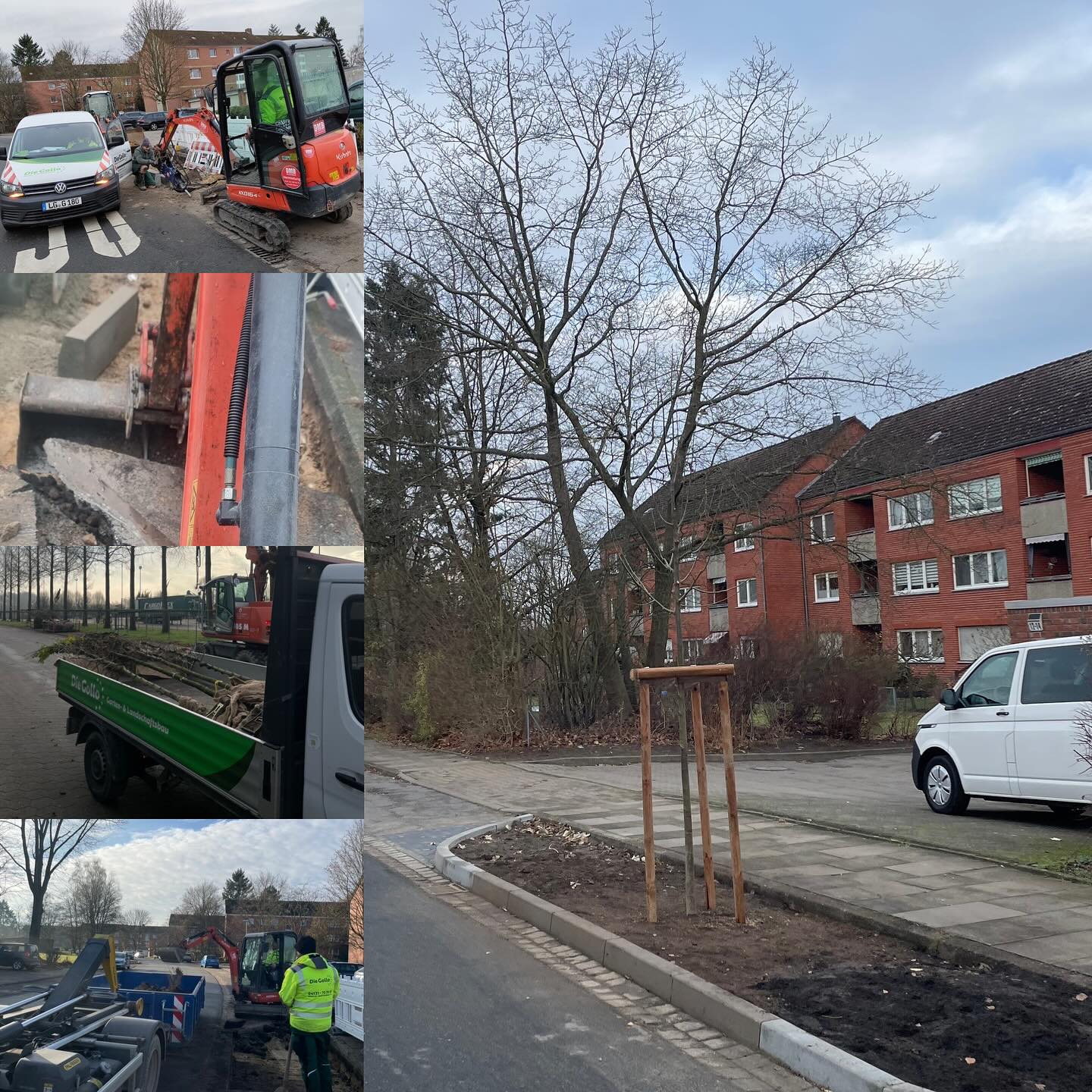 „Grün verschafft sich Raum“ – Klimabäume für Lüneburg!
Wir sind aktuell am Ostpreußenring in Lüneburg im Einsatz, um ein großartiges Projekt umzusetzen: Wir pflanzen 30 Klimabäume! 🌳 Bevor es soweit ist, müssen wir die Pflanzinseln sorgfältig vorbereiten. Mit schwerem Gerät, Präzision und vollem Einsatz schaffen wir den Raum, den unsere zukünftigen Stadtbäume brauchen, um zu gedeihen. 💪
Das Projekt „Grün verschafft sich Raum“ steht für eine nachhaltige und zukunftsorientierte Stadtgestaltung. Diese neuen Klimabäume werden nicht nur das Stadtbild bereichern, sondern auch zur Verbesserung des Mikroklimas, zur Luftreinigung und zur Erhöhung der Lebensqualität beitragen.
Wir freuen uns, Teil dieses wichtigen Projekts zu sein und der Natur in unserer Stadt mehr Raum zu geben. Denn jede Baumpflanzung ist ein Schritt in Richtung einer grüneren und lebenswerteren Zukunft! 🌳💚
#GrünVerschafftSichRaum #Baumpflanzung #Klimabäume #TeamGollo #GartenUndLandschaftsbau #Nachhaltigkeit #Stadtgrün #Lüneburg #Umweltschutz #GrüneStadt #Ostpreußenring #galabau #diegollo #gollo #gollogartenbau #vastorf #lüneburg #ausbildung #365tagefürsieimeinsatz
Die Gollo – Gemeinsam für ein grüneres Lüneburg! 🌱🚜