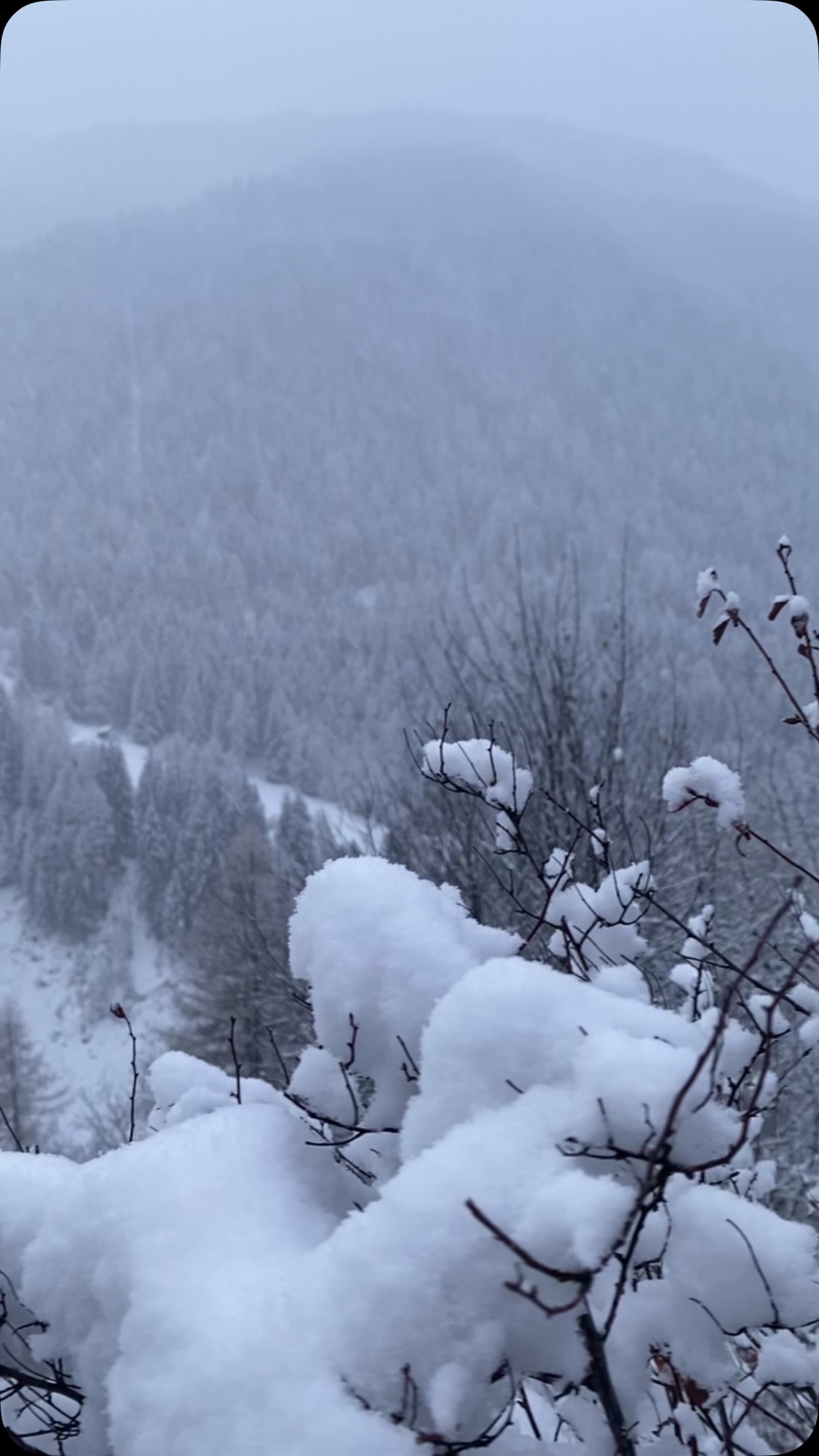 More #snowyscenes❄️⛄️ @labergere_anniviers this morning. Not a bad way to start the day!#timetoski #skiholidays #skichalet #skiswitzerland #valdanniviers
