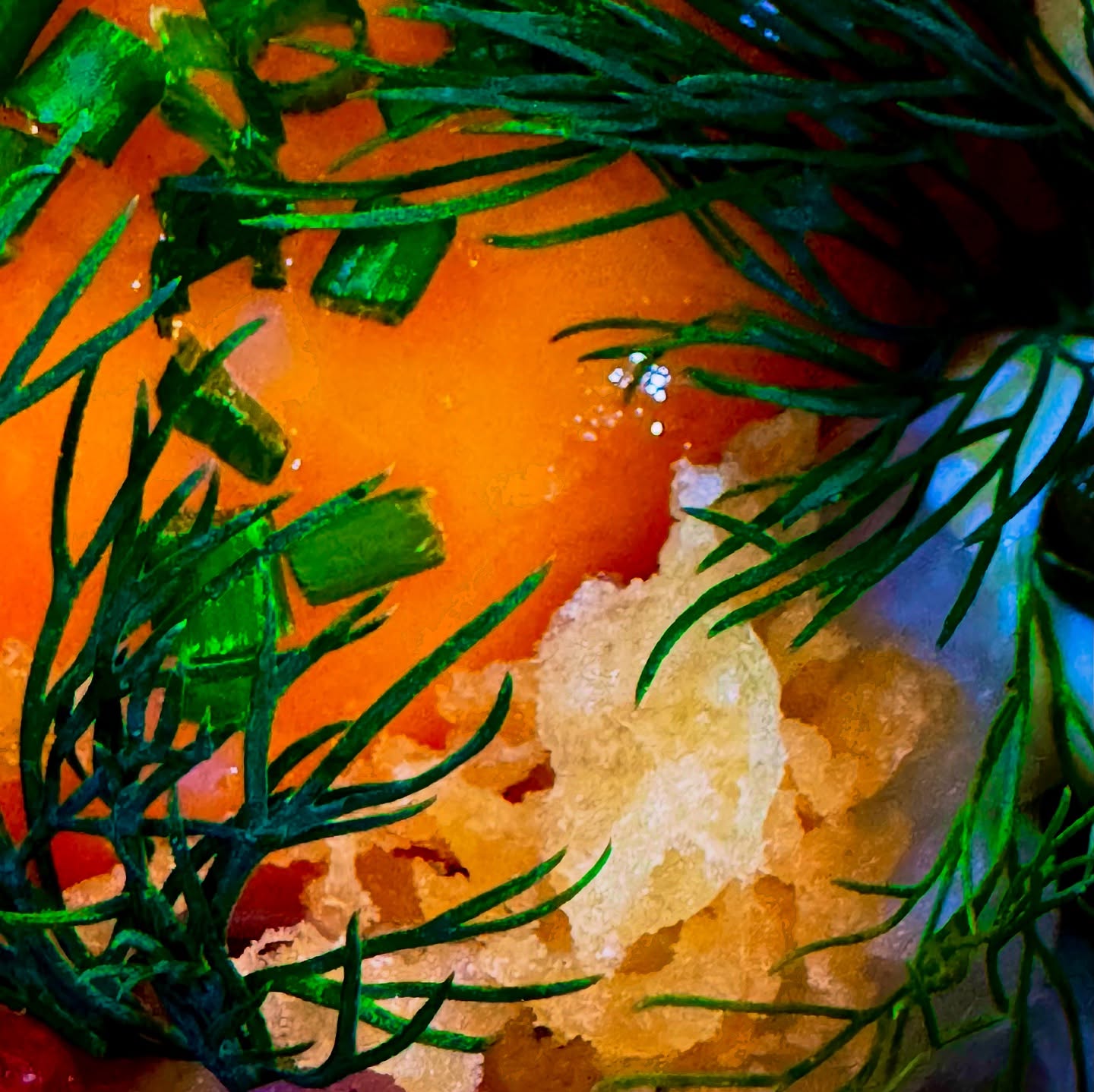 There is nothing quite like the Winter sun; nothing more elusive. But when it breaks through the grey skies, it brings hope that the short days and long cold nights will not last forever.
This is the hope that crescendos on the dawn of the Winter Solstice. This is the source of all our winter celebrations — the invincible sun.
Here we see it reflected in a frosted lake, in a dish created from cod, herring, and salmon flecked with flakes of crisped batter, dressed with dill, fennel fronds, and chives in a nod to the spring that the sun – a confit egg yolk – will soon bring.
#altigusti #agkl #wintersolstice #wintermenu #christmas2024 #iosaturnalia #saturnalia