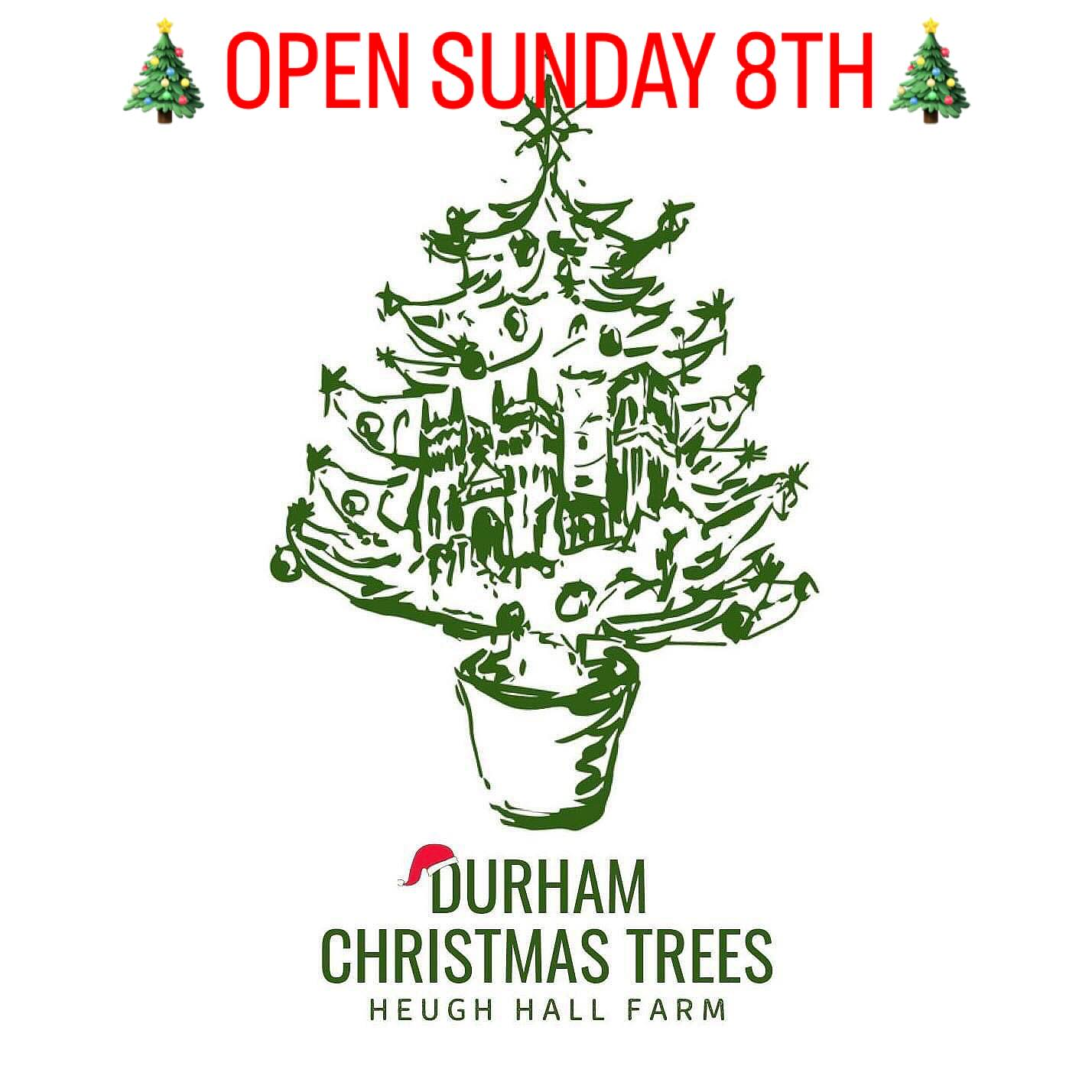 🎄🚨 WE WILL BE OPEN ON SUNDAY 8th DECEMBER 🚨🎄
🎄 We will be open 10.30am - 3.30pm and walk ins are welcome at any point, no need to book a slot.
🎄 Anyone who already has a slot booked to visit us is welcome to come at any point throughout the day when they feel happiest to travel.
🎄 This will be the last day we are open for 2024. If anyone has any queries please drop us a message or give us a call.
🥾 Wellies are essential for those wishing to visit the plantation