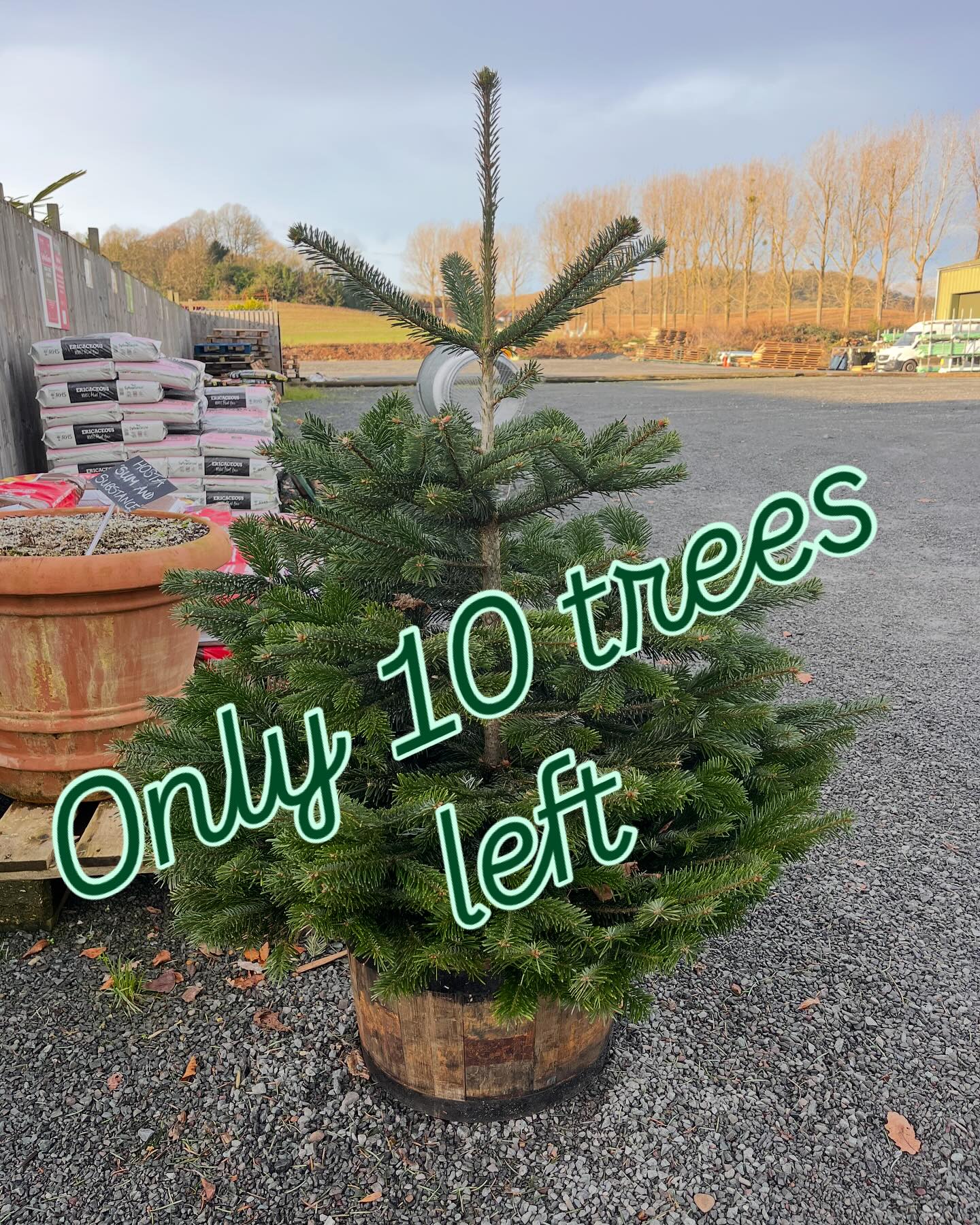 We have 10 of these 4-5 ft Nordmann Christmas trees left so get down here soon before they’re all gone🌲🎄open Sunday 10-2 🤶🏻