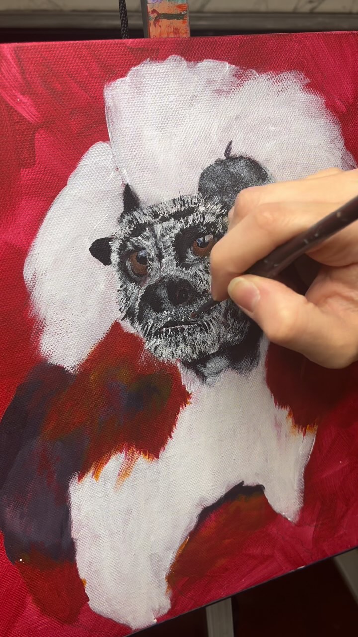 I’ve really enjoyed working on this cotton top tamarin’s facial fur 🤩 I hope you enjoy this Timelapse of the process 😁
#cottontoptamarin