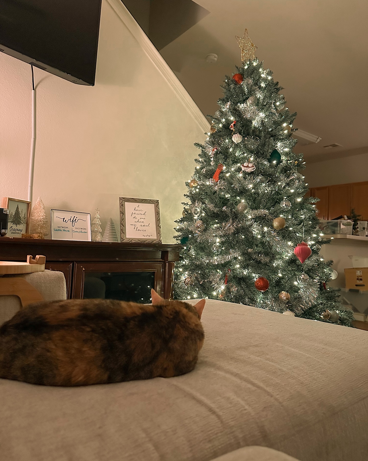 Our new house is starting to feel like home 🥰
(Also yes, I did in fact put up and decorate my @kingofchristmas Christmas tree before putting away the rest of the house and I feel no shame)
#Christmas #ChristmasTree #KingOfChristmas #KOC
