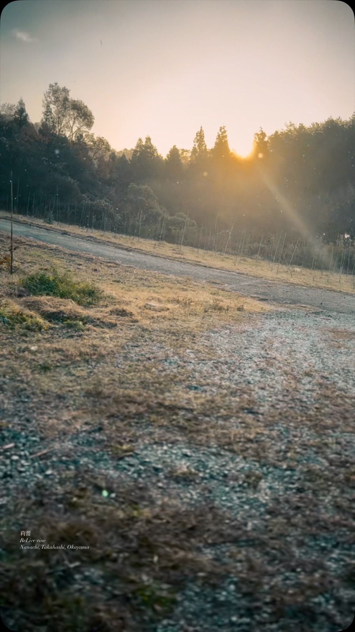_La chaleur de la première neige.
莉蕾の畑も、雪のふる季節になりました。初雪。
誰かが不誠実に生きた時、その責めを負わなければならない人がいるけれど、降りしきる雪も温もりに溶けてゆくように、over comeと共にある風景に私たちは生かされている。溶けた雪は大地に潤いをもたらし、積もった雪は春に新たないのちの芽吹きをもたらす。私たちはそんな世界の片隅の一欠片であるといふことを、忘れたくない。
ReLive’s field has entered the season of snow—its first snowfall.
When someone lives dishonestly, there will always be someone who bears the burden of that responsibility. Yet, just as falling snow melts away with warmth, we are sustained by the landscapes shaped by overcoming. The melted snow nourishes the earth, while the snow that accumulates brings forth new life in spring.
I don’t want to forget that we are but a small fragment in the corner of such a world.
【莉蕾|ReLive vine】
岡山県高梁市でぶどう農家をしている @itsuki_ll が、ワインの風景を歩んでいく日々を記録。現在樹齢と研修一年目。蕾から美しい花実が生まれるように、いつの日か、この日々が、ワインやその先の風景に繋がっていくようにという祈りを込めて「莉蕾(りらい)」と名付けた。
ReLive vine with @itsuki_ll documents the daily life of a grape farmer in Takahashi City, Okayama, Japan, as they walk alongside wine. Currently in the first year of both vine age and training, the hope is to one day create grapes and wines that evoke the memory of the landscape. With a prayer that this will eventually lead to an unrecognizable landscape, the endeavor was named "ReLive vine".
#ワイン #農家 #醸造 #ぶどう #農業 #自然 #秋田犬 #甲斐犬 #岡山 #日本の風景 #Wine #Winemaking #Grapes #Farming #Nature #Akita #KaiKen #JapaneseLandscape #Vin #Vinification #Raisin #Agriculture #ChienAkita #ChienKai