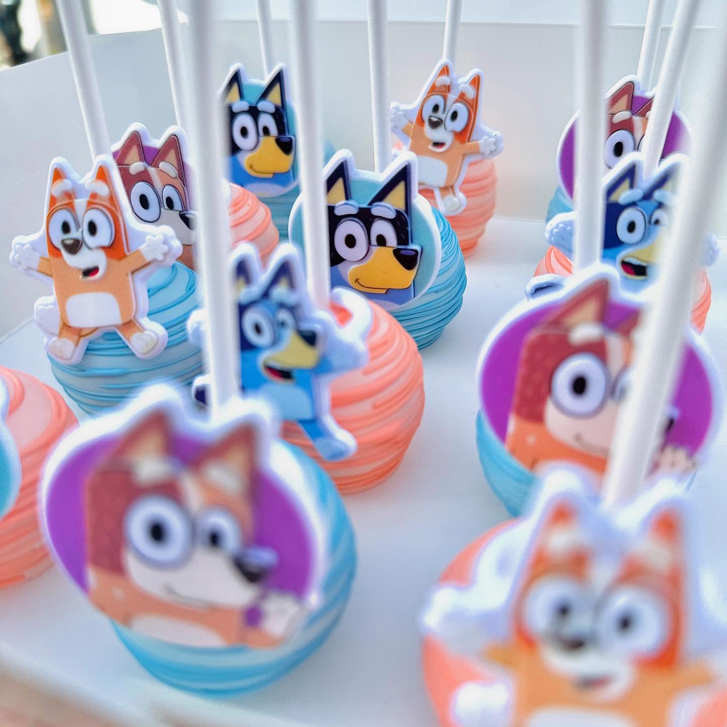 Never ending Bluey Birthdays! 🩵🧡 Love to see it!
•
Order your desserts for your next event by clicking the link in my bio!
#desserts #newjersey #cakepops #sweettreat #explorepage #bluey #baker #baking #njbaker
