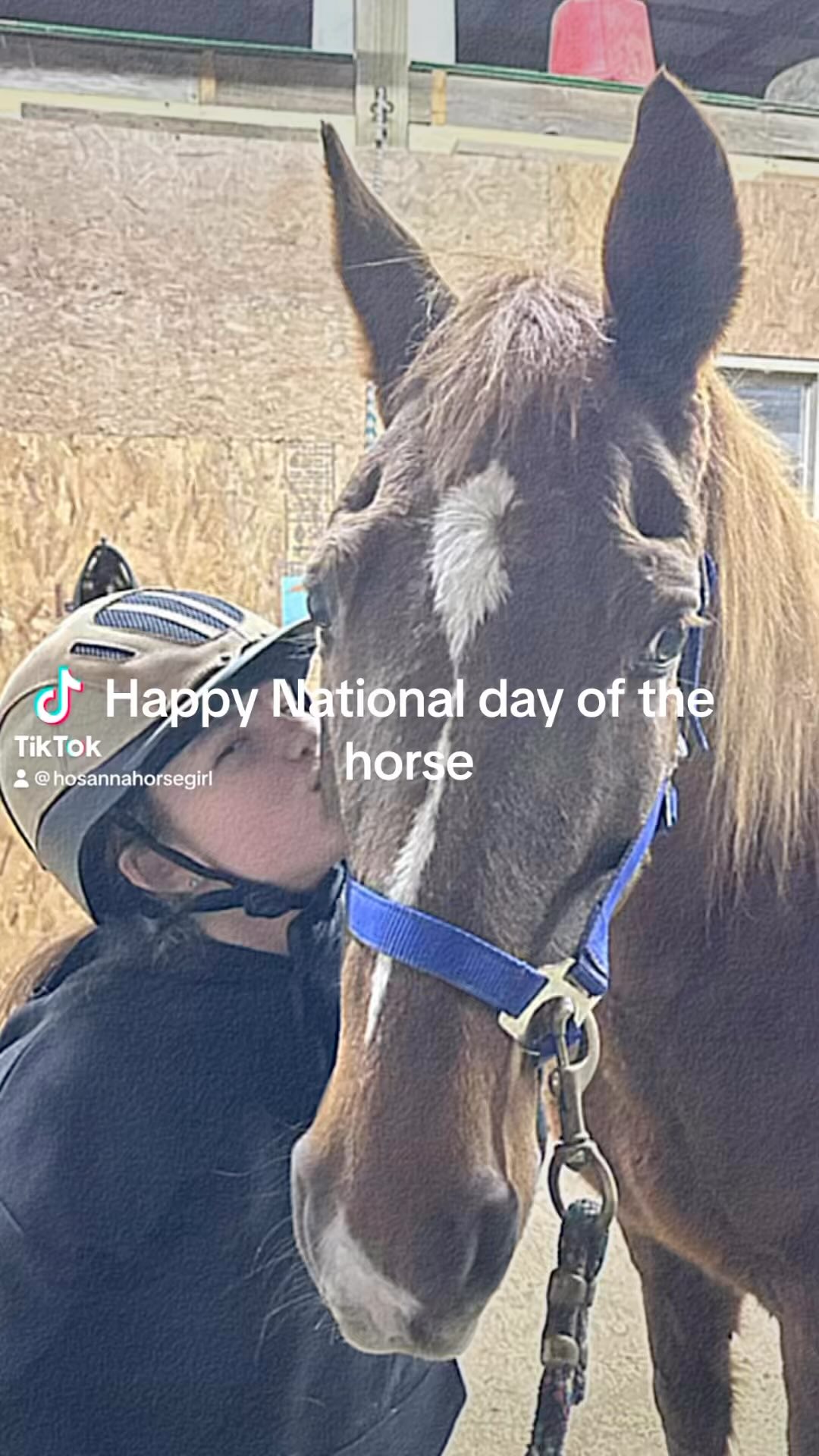 Happy National Day of the Horse.