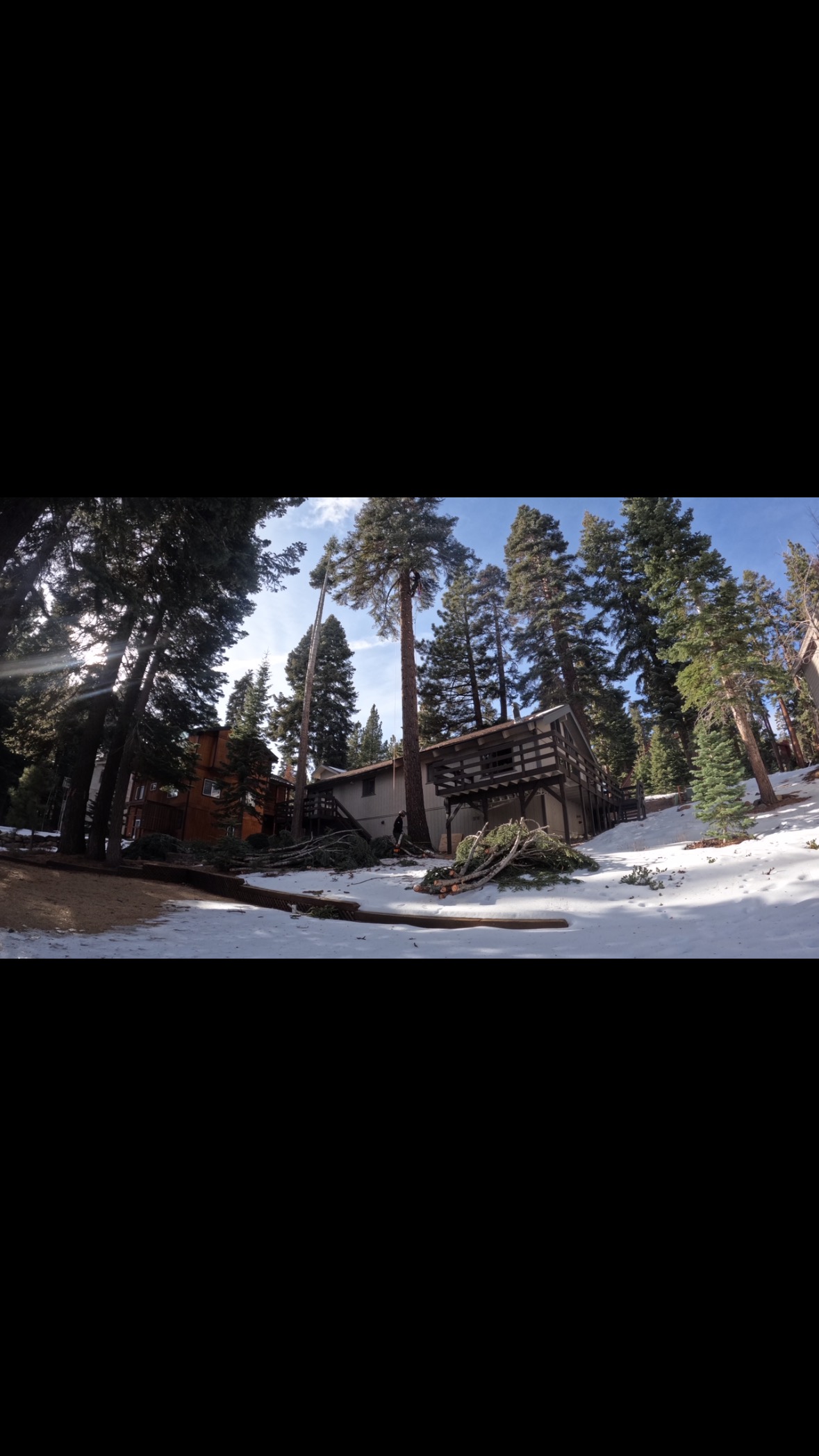 Big job happening really excited about this one 😁 Keep on dreaming!!! #dmmwales #kinisi #sampsonropes #teufelberger #pfannercanada