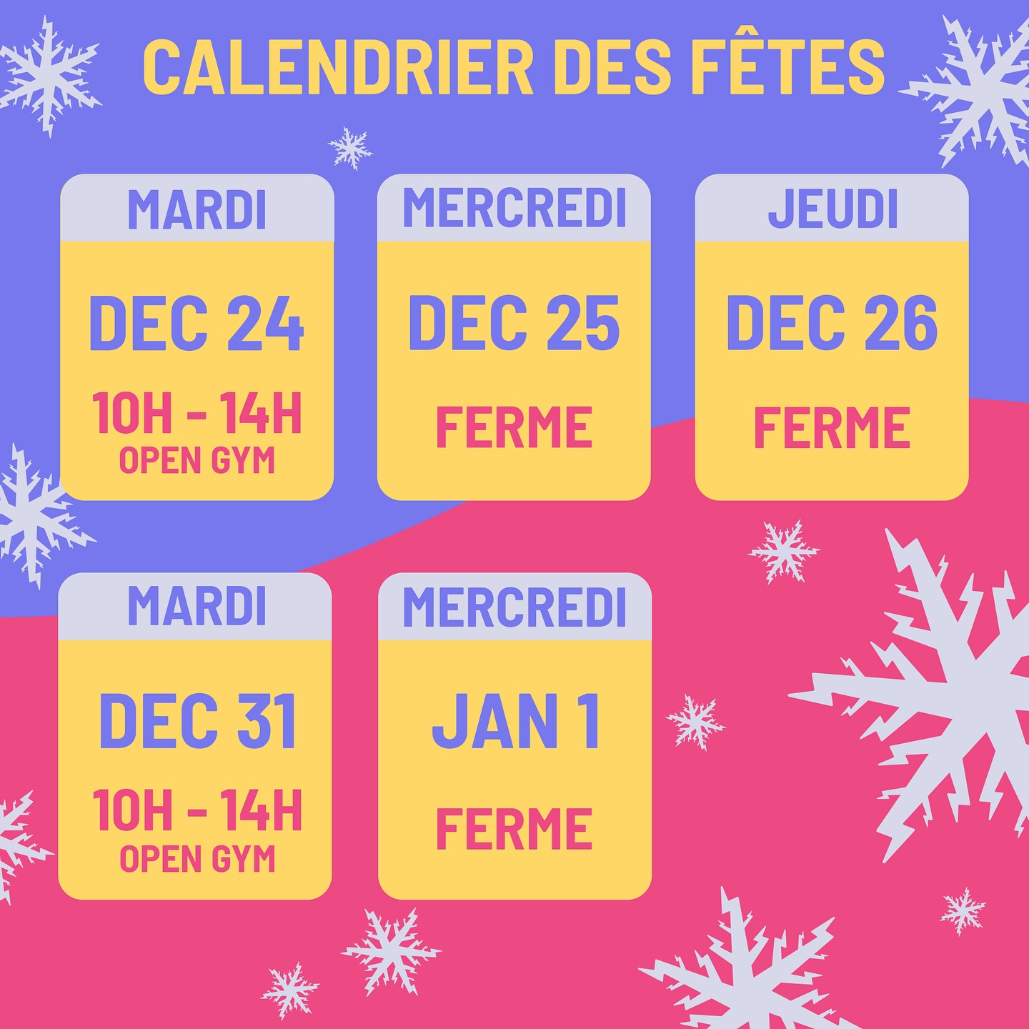 Joyeuses fêtes, happy holidays to all! ⚡️ ❄️ 💜