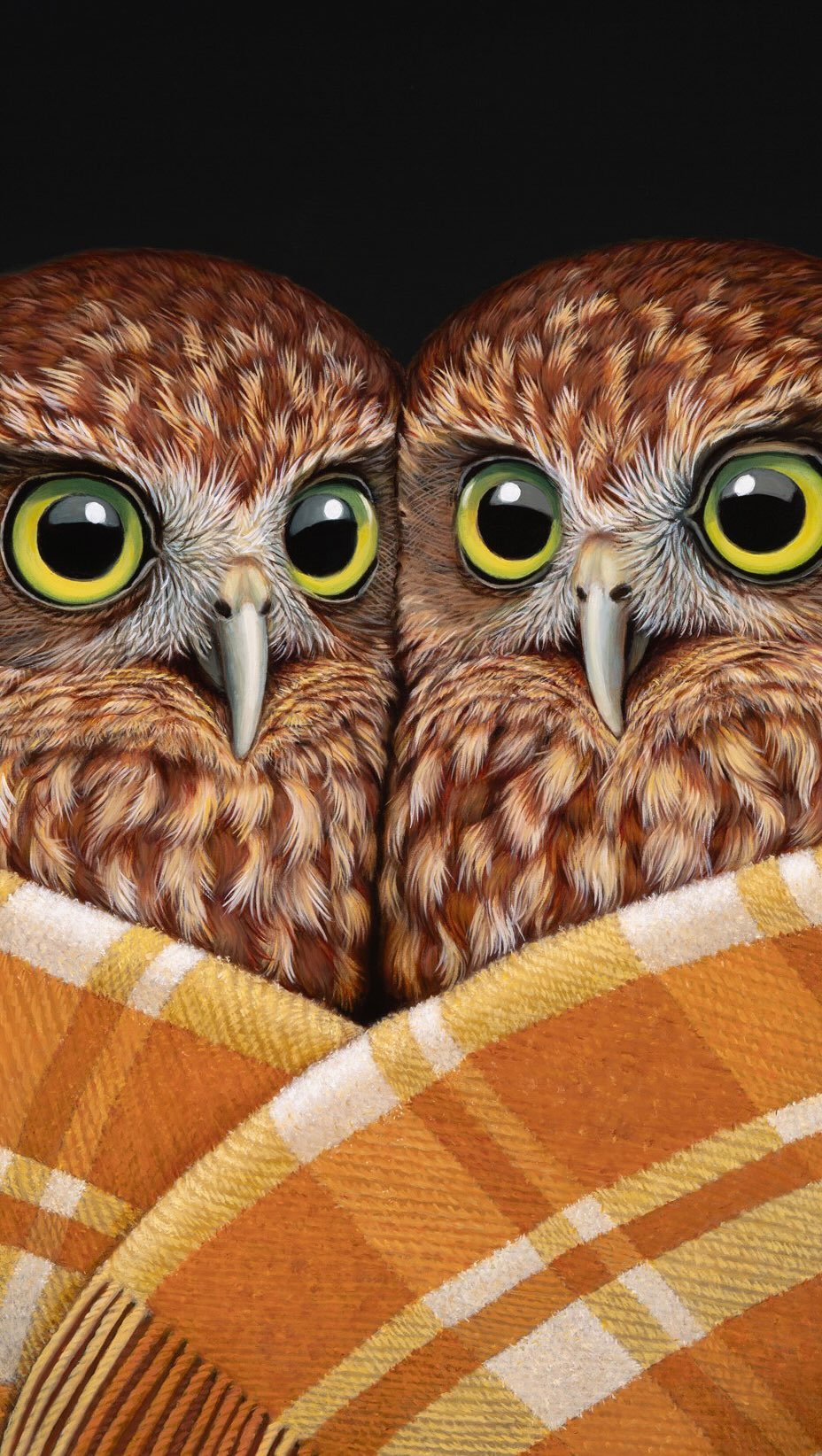 A big congratulations to Tania! Whom just won a fantastic limited edition print by Rieko Woodford - Robinson.