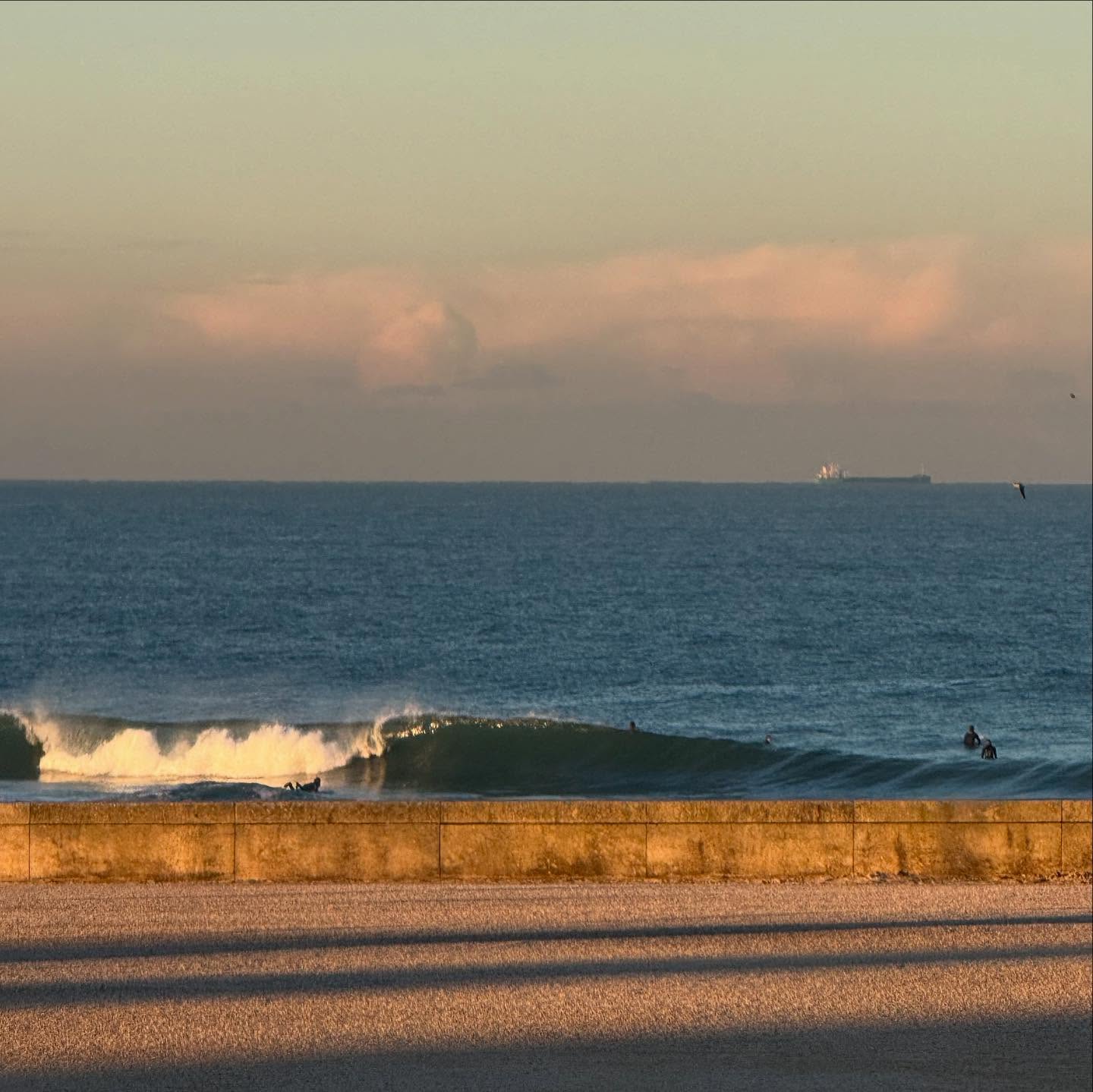 Fun dawn patrol outing at Leça! 7’4 Vaquero @marcandreini and 6’8 Cali fish @furrowsurfcraft for the always punchy lefts (even on a small day like today)!
#oportosurfboardclub #surfclub #surfboardclub #surfleça #surfporto #surfportugal #surfeurope #surfboard #furrowsurfcraft #andreinisurfboards #midlenghtsurfboards #fishsurfboard #twinfin #hullsurfboard #hulls #vaquerodelasolas #singlefin #finjak #finjaktoolfree #finjakeu #finjakuk