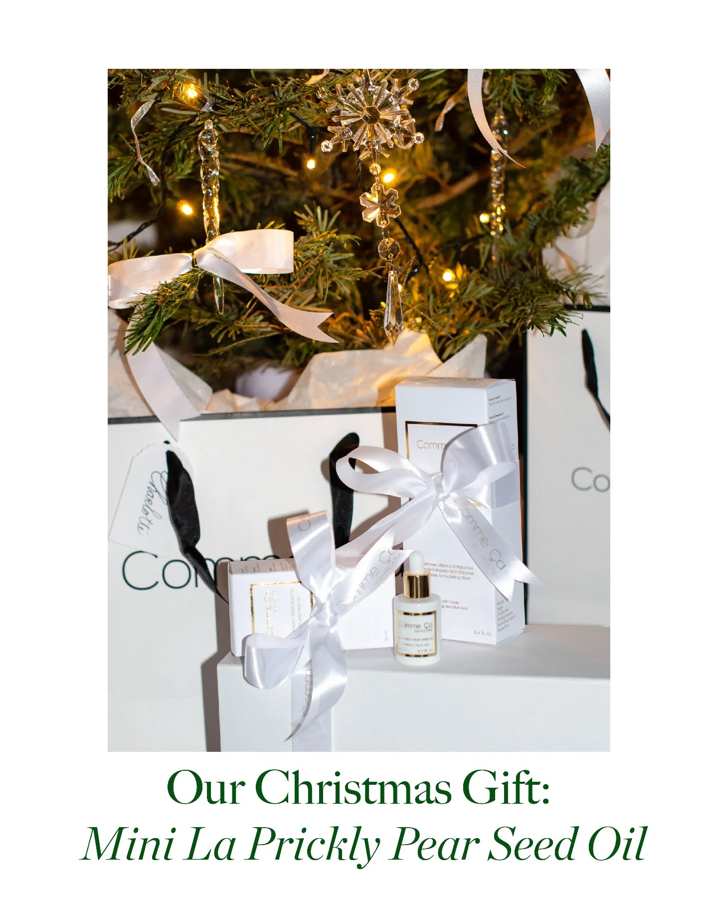 To thank you for all your amazing support in the past year, we are gifting you a free La Prickly Pear Seed Oil Mini (value of € 45,50) with every order of € 70,- and above. The mini will be automatically added. There is no need to add a code at checkout.
Don’t wait too long, because this offer is only valid until
December, Sunday 22nd at 23.59h.