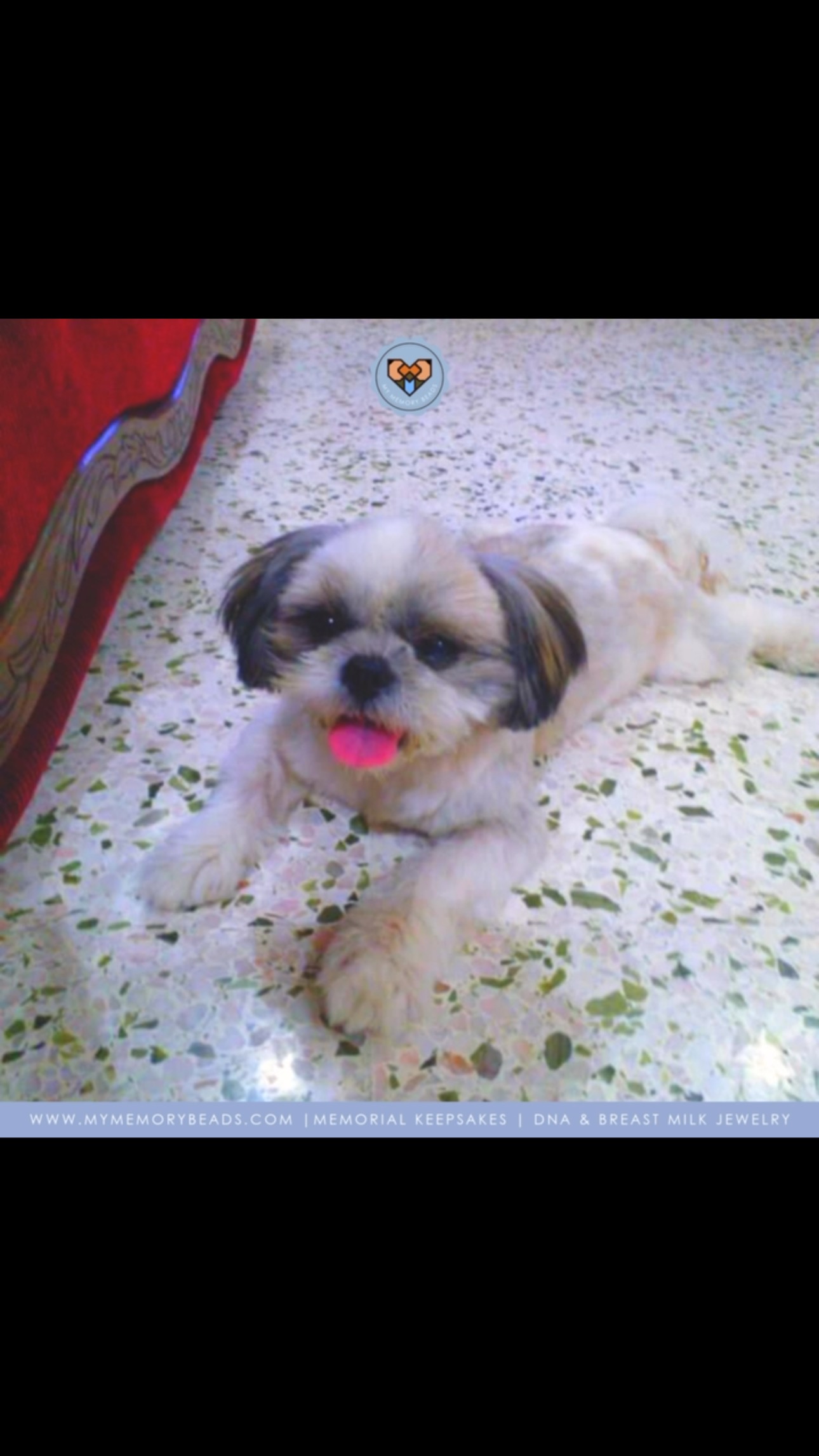 We are truly humbled and grateful for every review and kind word we receive from our clients.
Each keepsake we produce carries the love and memories of your cherished ones, and knowing that we’ve been able to help in any small way inspires us to keep going.
Thank you for trusting us and sharing your experiences from the heart.
Thank you Deepa & Brandon for entrusting us with your keepsake and for your review ❤️
www.mymemorybeads.com
Keepsakes made with Italian Glass & Jewellery Resin.
Cremation Ashes | Breast Milk | IVF Straws | Umbilical Cords | Fur | Hair | Soil | Flowers | Blood & So Much More 🎐
©️ Copyright My Memory Beads. All Rights Reserved.
#MemorialKeepsakesMalaysia #petashesjewellerymy #petashesjewelrymalaysia #memorialkeepsakesMY #keepsakesmy #petashesjewelrysingapore #宠物纪念品 #宠物毛发珠子品手工 定制 #宠物纪念品 #宠物饰品
#宠物礼物 #petashespendantsg #宠物毛发马来西亚#petashespendantmalaysia #宠物纪念系列马来西亚
#KeepsakesMalaysia #MemorialKeepsakesSingapore #memorialkeepsakesSG #keepsakessg
#宠物纪念首饰马来西亚 #Keepsakessingapore #petfurjewellerymalaysia #petfurjewelrysingapore #cremationjewellerymalaysia #cremationjewelrysingapore #petexpomalaysia #petexpomalaysia2025 #petexposingapore #singaporepetfestival2025 #宠物毛发珠宝马来西亚#rememberinglovedonesmalaysia