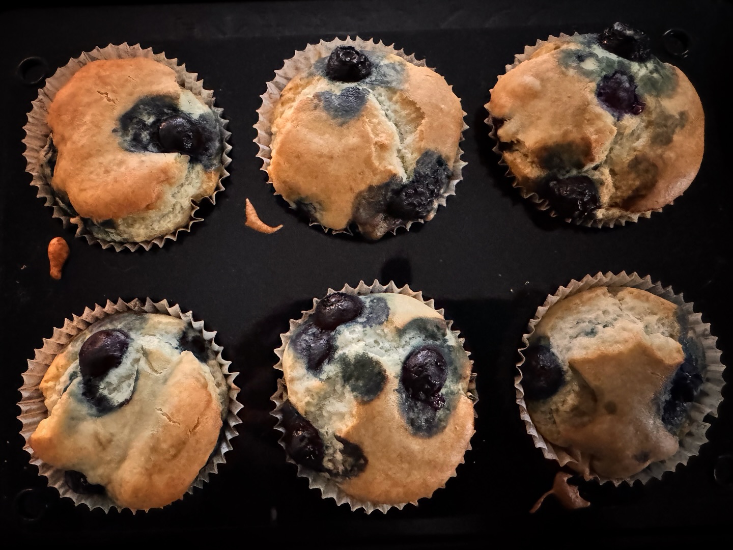 〜 𝑻𝒉𝒆 𝑾𝒊𝒕𝒄𝒉’𝒔 𝑽𝒆𝒈𝒂𝒏 𝑺𝒘𝒆𝒆𝒕𝒔 〜
𓊯魔女のヴィーガンスイーツ𓊯
◕ 。ブルーベリーの米粉マフィン。 。◕
今日の魔女の台所から生まれたのは、
ブルーベリーの米粉マフィン。
𓇗 小麦粉、白砂糖、動物性食材は一切不使用!
植物の力と自然の甘みをぎゅっと閉じ込めた、
身体にも地球にもやさしいヴィーガンスイーツです。
𓇗 ぷっくりジューシーなブルーベリー
米粉のしっとり感と絶妙に調和します。
ブルーベリーはエネルギー的に
第6チャクラ(サードアイ)に対応しており、
直感力や洞察力を高める助けになります。
情報に惑わされやすい今のエネルギーの
美味しいサポート役です♡
子ども達の帰りにちょうど焼き上がり、
温かいうちにいただきます𓌉
˚°ºᵒ•♡•ᵒº°˚♢°ºᵒ•♡•ᵒº°˚♢°ºᵒ•♡•ᵒº°˚
《12月スケジュール》
15日(満月)
光のローチョコBOX販売 ※前日まで要予約
9〜10、12〜13、16、18、26〜27日
スピリチュアルカウンセリング
17日 ドラゴンクリスタルチャネリング講座
11、19〜21日、23、28〜31日 お休み
24、25日
発酵×Rawいちごのブッシュドノエル レッスン
上記日程以外で
ロースイーツレッスン、
スピリチュアルセッション受付中♪
(土日祝日も予約可、オンライン可)
⁎⑅⃝⁎୨୧⁎⑅⃝⁎୨୧⁎⑅⃝⁎୨୧⁎⑅⃝⁎୨୧⁎⑅⃝⁎୨୧⁎⑅⃝
《募集中講座》
🌿ロースイーツパティシエ認定講座
→ロースイーツのノウハウを学びます
🌿ローショコラパティシエ講座
→ローチョコレートに特化した講座です
他リクエスト可能
🌹花おはぎレッスン
ヴィーガン仕様の餡を使った可愛いお花絞り
🌹ショコラフラワー講座
仕様の違う3種類のチョコレートでお花絞り
🌿𝒍𝒐𝒉𝒂𝒔𝑻𝑰𝑪 𝒔𝒘𝒆𝒆𝒕𝒔は
日本ヘルシーフード協会
『ロースイーツパティシエ』
『ローショコラパティシエ』
𝗋𝖺𝗐&𝗋𝖺𝗐認定校になります
@𝗋𝖺𝗐𝗌𝗐𝖾𝖾𝗍𝗌.𝖺𝗄𝗂.𝗏𝖾𝗀𝖾𝖻𝗂𝗈
🍎発酵料理教室 円居認定講師
🌹社)𝑨𝑳𝑨
『ショコラフラワー認定講師』
*・゚゚・*:.。..。.:*・゚゚・*:.。. .。.:**・゚゚・*:.。..。.:*・゚゚・*:.。.
《𝒍𝒐𝒉𝒂𝒔𝑻𝑰𝑪 𝒔𝒘𝒆𝒆𝒕𝒔》
ロースイーツ/発酵スイーツ/植物療法/花おはぎ
/ベビー教室/スピリチュアルサロン
☆𝑳𝑰𝑵𝑬 (𝑰𝑫→@𝟥𝟩𝟨𝗊𝗎𝗏𝗅𝗂)のお友達追加で
お得なクーポン配布中♡
𓃽スピリチュアルアカウント
@draco_illumina
#ローショコラパティシエ #ローショコラ #ローチョコレート #ロースイーツ大好き #ローチョコレートレッスン #ローチョコレート教室 #ヴィーガンスイーツレッスン #ヴィーガンお菓子 #オーガニックスイーツ #プラントベーススイーツ #身体に優しいお菓子 #グルテンフリーのお菓子 #発酵おやつ #発酵ジュース #発酵シロップ #発酵スイーツ #フィトセラピー #phytotherapy #植物療法 #魔女のスイーツ #ロースイーツオンラインレッスン #子連れ参加 #ロハスチックスイーツ #ロースイーツ講座 #𝚛𝚊𝚠𝚜𝚠𝚎𝚎𝚝𝚜𝚕𝚎𝚜𝚜𝚘𝚗 #ロースイーツ教室 #ロースイーツ焼津 #ロースイーツ静岡 #焼津ママ