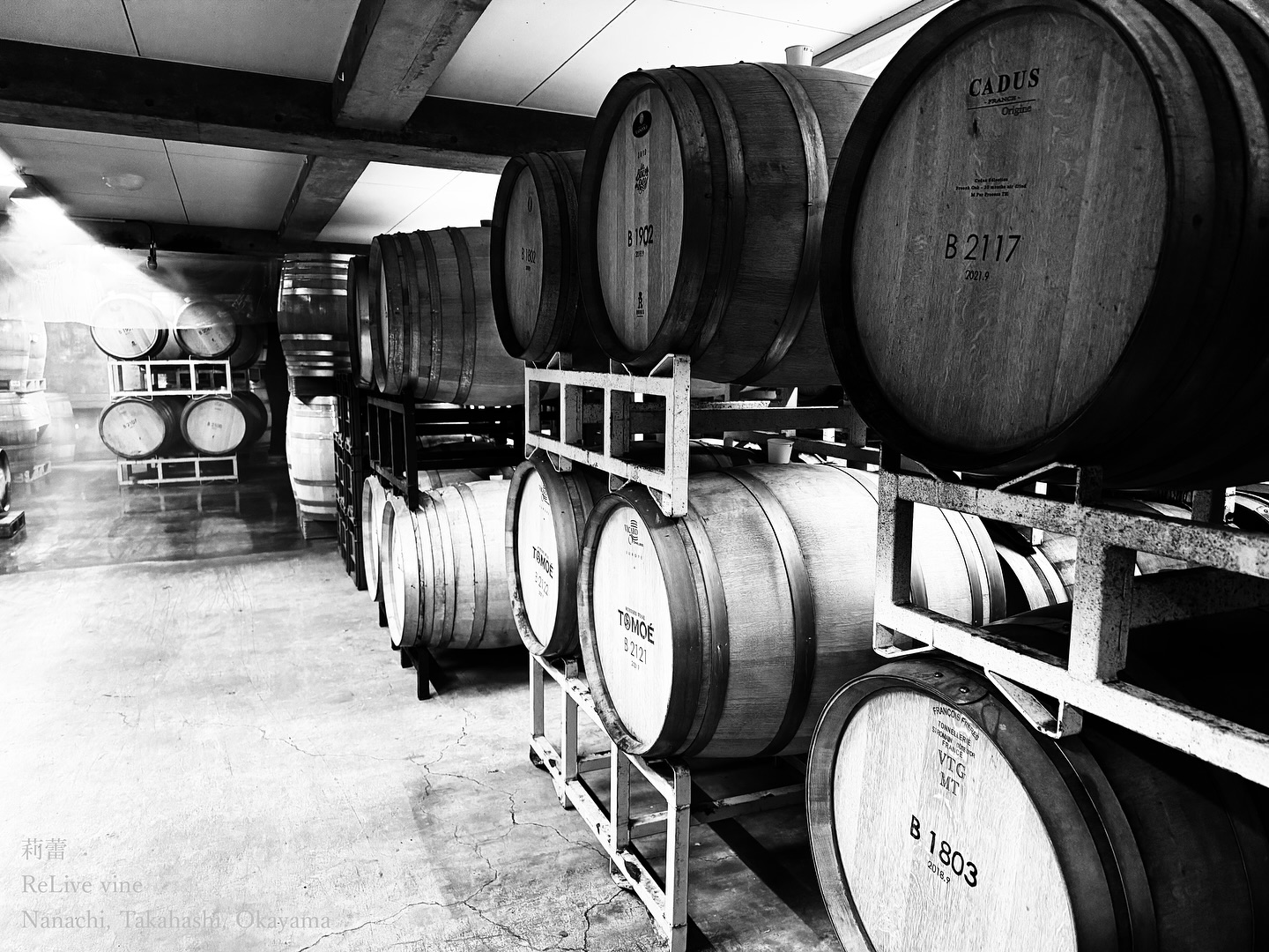 _Un flux de lumière unique.
研修先の研修にお供させて頂き、数件のワイナリーを訪ね、畑から醸造までを見せていただきました。様々な形態や考え方があり、細部の工夫を数多知れたのはありがいた経験でした。
ただ、いつも思うのは、この世界一に近いノウハウの溜まった地域で「ぶどうづくり」というところからスタートした自分はとてもいい修行が出来ているということです。切っても切り離せない栽培から醸造までの流れを、一貫して突き詰められている方はそう多くはありません。
ご縁を大切に、目の前のやれることを、やり続けたいと強く感じます。
I had the privilege of visiting several wineries, observing everything from vineyards to winemaking. It reinforced how fortunate I am to have started with grape cultivation in a region rich in expertise. Few can fully explore the seamless connection between growing and winemaking. I am committed to cherishing these connections and doing my best in the present.
【莉蕾|ReLive vine】
岡山県高梁市でぶどう農家をしている @itsuki_ll が、ワインの風景を歩んでいく日々を記録。現在樹齢と研修一年目。蕾から美しい花実が生まれるように、いつの日か、この日々が、ワインやその先の風景に繋がっていくようにという祈りを込めて「莉蕾(りらい)」と名付けた。
ReLive vine with @itsuki_ll documents the daily life of a grape farmer in Takahashi City, Okayama, Japan, as they walk alongside wine. Currently in the first year of both vine age and training, the hope is to one day create grapes and wines that evoke the memory of the landscape. With a prayer that this will eventually lead to an unrecognizable landscape, the endeavor was named "ReLive vine".
#ワイン #農家 #醸造 #ぶどう #農業 #自然 #秋田犬 #甲斐犬 #岡山 #日本の風景 #Wine #Winemaking #Grapes #Farming #Nature #Akita #KaiKen #JapaneseLandscape #Vin #Vinification #Raisin #Agriculture #ChienAkita #ChienKai