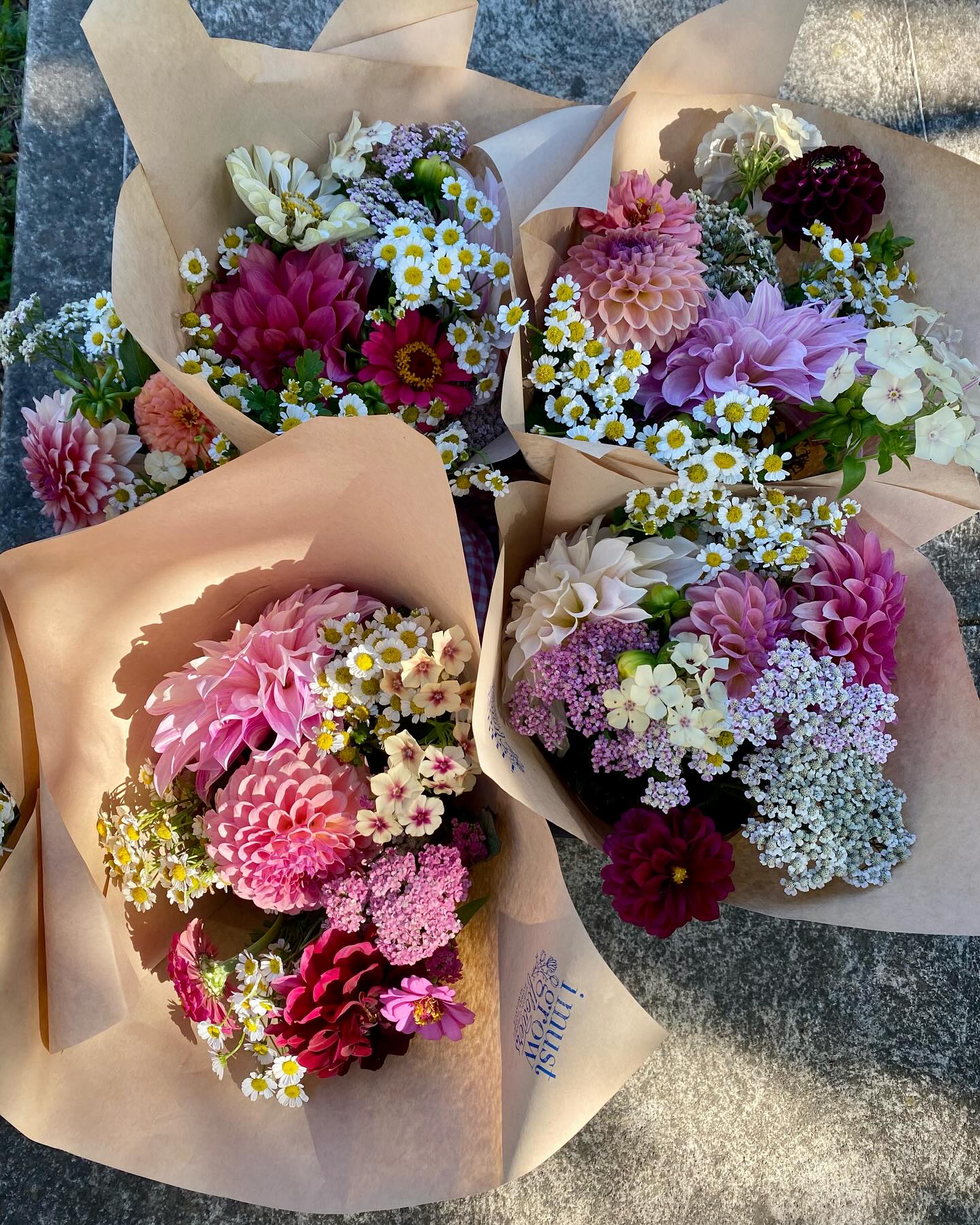 Fresh delivery to @goodnessmeorganics
It’s good to be harvesting these beauties again.
#organicflowerfarm #newcastlensw #farmerflorist #flowersforthekitchentable #cafeaulaitdahlias