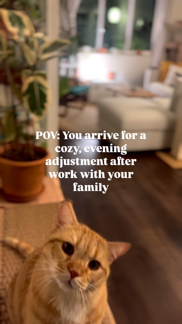 Nothing better then some self care after work 👌🏼
Our cozy, quaint space is the perfect spot to come for an adjustment. When you arrive for your appointment, you will always be the focus.
There is room for the whole family to relax while you all get adjusted, or it’s the perfect space for a solo nervous system tune up ✨
* + the added bonus of cat cuddles upon arrival
#bayareachiropractor #nervoussystemhealth #pediatricchiropractic #perinatalchiropractor #belmontca #sancarlosca #redwoodcityca #chiropracticadjustment #perinatal