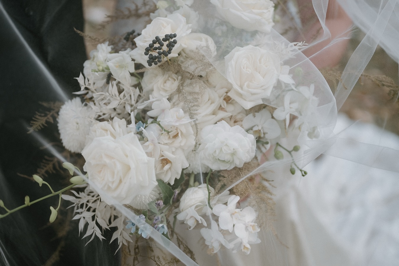 Wedding bouquet + wedding veil = magic ✨
#wisconsinweddingphotographer #wisconsin #engagementphotographer
#weddingphotographer #wisconsinbride #engagementphotos #wisconsinengagement #weddinginspiration
#wedding #weddingphotos #madisonwisconsinweddingphotographer
#madisonwedding #wisconsinwedding #wisconsinengagement #madisonwisconsinphotographer #realwisconsinwedding #marriedinwisconsin #elopement #outdoorwedding #elopeinwisconsin #adventureelopement #midwestelopementphotographer #adventurewedding #adventureweddingphotographer #elopementphotographer #weddingveil #weddingbouquet
#wedding2025 #engaged #wisconsinelopement #wisconsinelopementphotographer