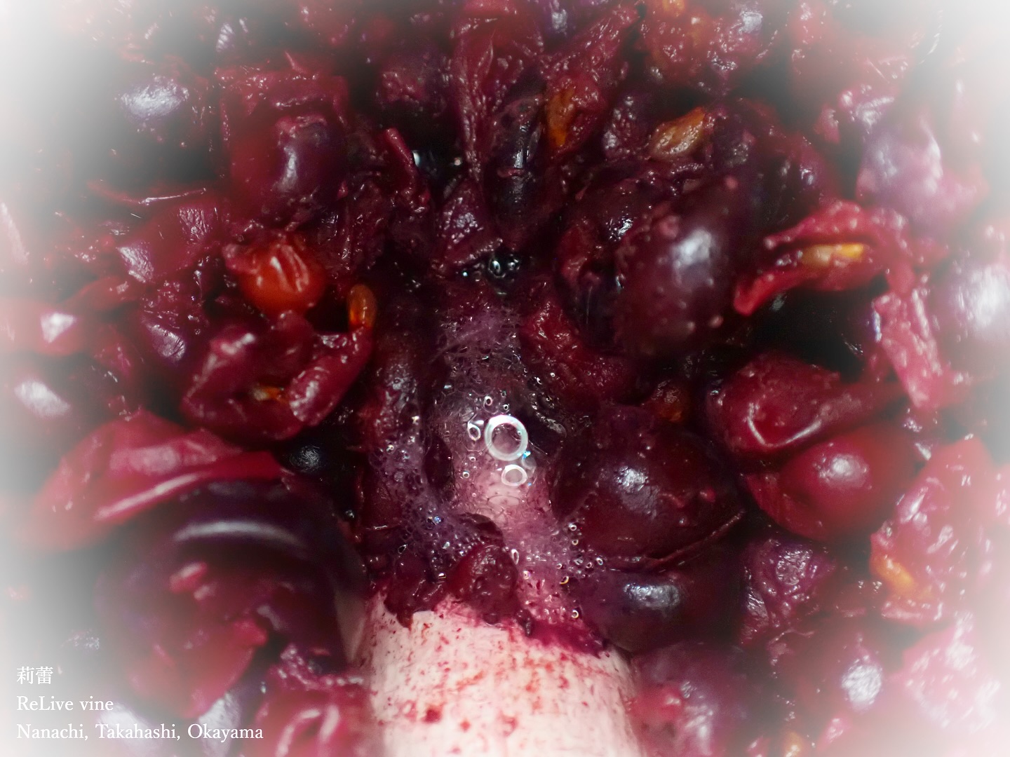 _La différence entre l’excellence et le honmono
どれほど基礎や知識を身につけても、最初と最後は感覚に尽きるのがものづくりです。感覚はバランスと経験による蓄積がもたらすもので、それを更につきつめていった先に、直覚というものが生まれます。直覚とは、その真逆で引き算と度量の積み重ねによって磨かれていくものです。そしてそれは環境によってもたらされる「覚えさせられる」ようなものに近いので、直覚と呼ぶのです。感覚は言語化に向かう意識を呼び起こしますが、直覚は言語化などしたくない、させたくない、況やできないと思うほどいのちに近いものです。世間一般における一流の人は「感覚」に重きを置きますが、「ほんもの」をつくる、ふれる、味わう人は直覚に重きを置きます。
僕は世間一般の評価基準に準ずるためのものづくりではなく、大切な人のいのちに温もりを運べるようなものを作りたいと日々感じています。
No matter how much knowledge or skill one acquires, creation ultimately depends on intuition. Intuition comes from experience and balance, while true instinctive perception is honed through subtraction and shaped by the environment.
Intuition seeks words, but instinctive perception is so close to life itself that it resists being verbalized. Society values intuition, but those who create or experience the authentic prioritize instinctive perception.
I strive not to conform to societal standards but to create something that brings warmth to the life of someone dear to me.
【莉蕾|ReLive vine】
岡山県高梁市でぶどう農家をしている @itsuki_ll が、ワインの風景を歩んでいく日々を記録。現在樹齢と研修一年目。蕾から美しい花実が生まれるように、いつの日か、この日々が、ワインやその先の風景に繋がっていくようにという祈りを込めて「莉蕾(りらい)」と名付けた。
ReLive vine with @itsuki_ll documents the daily life of a grape farmer in Takahashi City, Okayama, Japan, as they walk alongside wine. Currently in the first year of both vine age and training, the hope is to one day create grapes and wines that evoke the memory of the landscape. With a prayer that this will eventually lead to an unrecognizable landscape, the endeavor was named "ReLive vine".
#ワイン #農家 #醸造 #ぶどう #農業 #自然 #秋田犬 #甲斐犬 #岡山 #日本の風景 #Wine #Winemaking #Grapes #Farming #Nature #Akita #KaiKen #JapaneseLandscape #Vin #Vinification #Raisin #Agriculture #ChienAkita #ChienKai