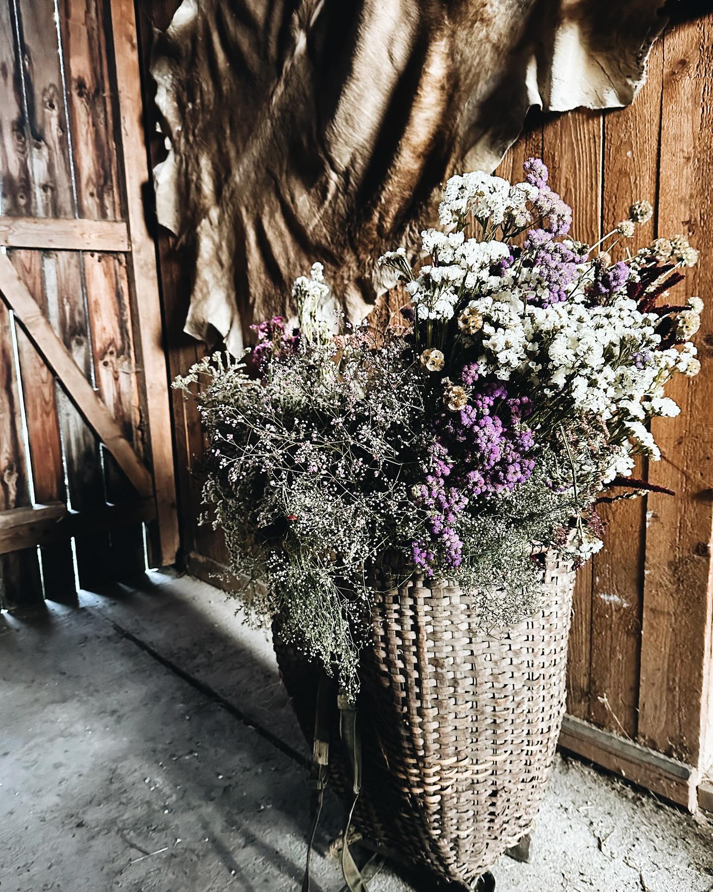 So schauts aus, wenn wir Trockenblumen aus dem Lager holen. Schön oder?
#trockenblumen #nachhaltig #ohnepestizide #buckelkraxe #blumendieanmorgendenken #dryflowers #slowflowerbewegung #thelittlethings