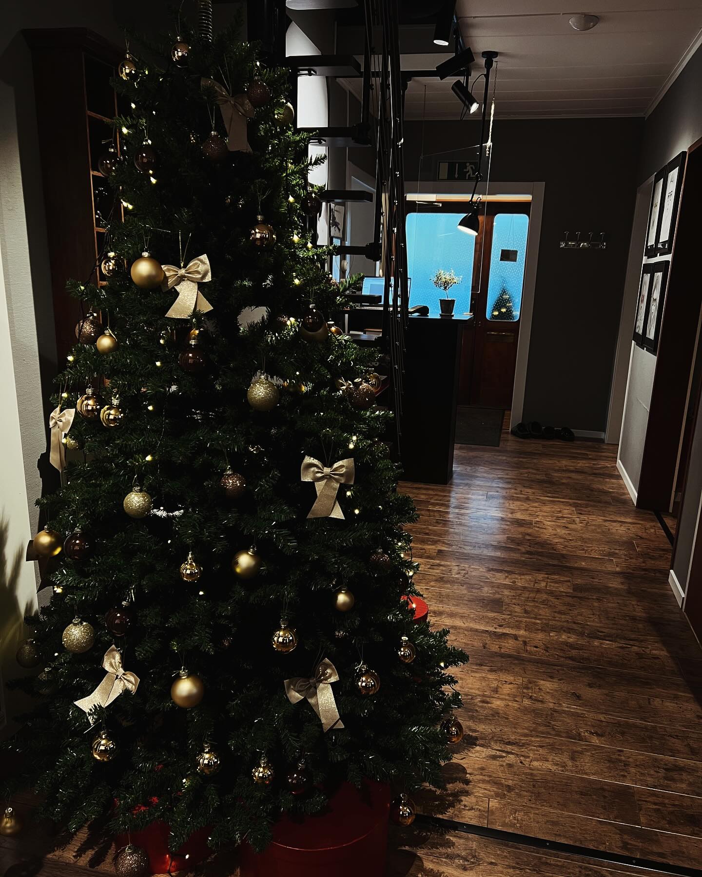 GLAD LUCIA!!!🌟🕯️