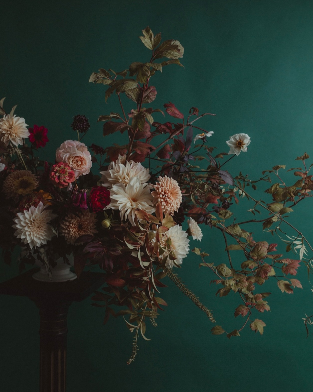 SEASON’S GREETINGS
J’espère que l’entrée dans l’hiver se passe bien pour vous et que les fêtes de fin d’année se préparent joyeusement.
Ici le jardin est au repos et nous aussi.
La saison prochaine se remplit tranquillement de beaux mariages. Il me reste des disponibilités et j’en profite pour rappeler aux futurs mariés que si votre lieu de réception se trouve à moins d’une heure de la ferme et de mon atelier le fleurissement de votre mariage vous est proposé à partir de 1800€.
Je me déplace dans toute la Normandie et en Bretagne, mais plus c’est local mieux c’est!
Voici une liste de tous les jolis lieux (et j’en oublie certainement) qui se trouvent à moins d’une heure de notre ferme florale:
@manoirdechivre
@domaine_de_la_fauvriere_
@moulindebully
@chateau.de.villers.bocage
@chateaudemartragny
@chateau_de_canon
@les_ecogitesdubocage @chateaudecrosville @domainedaslan
@lagrangedespins
@le_mesnil
@domaine_de_la_palombe_
@chateau_de_la_roque
@chateau_de_la_bribourdiere
@manoirdesens
@manoir_foulquetiere
@domaineducolombier
@champdelaunay
@chateaulacheneviere @chateaudeouezy
Doux souvenir de fin de saison pour @albe_editions by @cecile_schuhmann #fleuristenormandie #fleuristecaen #ecofleuriste #fermeflorale