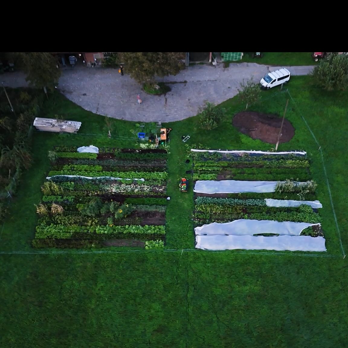 Wie sieht unser Freilandgemüsefeld von oben aus? so!😍 Ein schönes Foto vom letzten September, das die Vielfalt auf dem Feld zeigt😊 Wir sind übrigends voll an der Planung der nächsten Gemüsesaison, das Feld wird noch etwas grösser und wir können noch mehr leckeres Gemüse anbieten!
.
.
#marktgärtnerei #gartengemüse #vielfalt #nachhaltigkeit #regionalität