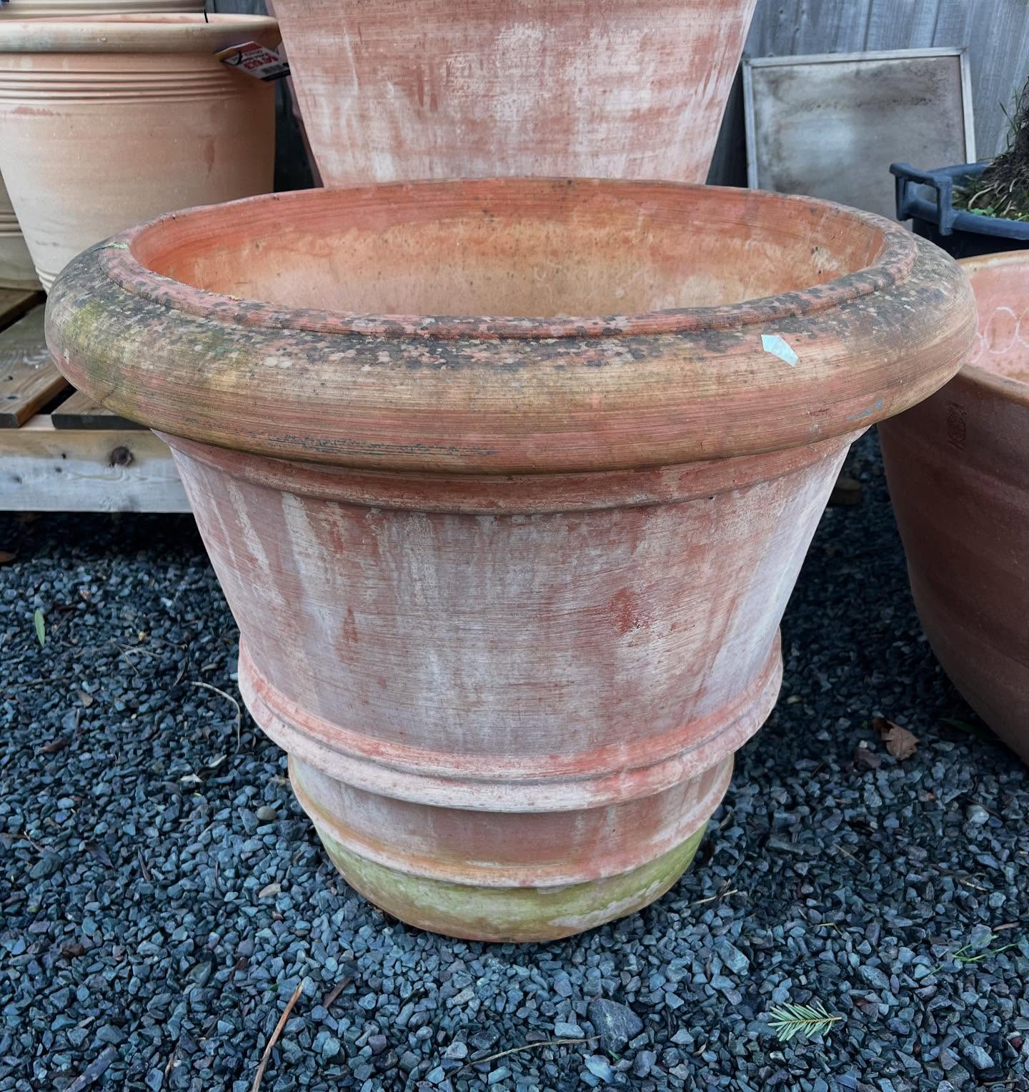 🌸🌸special offer🌸🌸 beautiful handmade Italian frost proof terracotta pots 1 x 70cm £270 and 2 x 55cm £150 each or pair for £280 🌸🌸