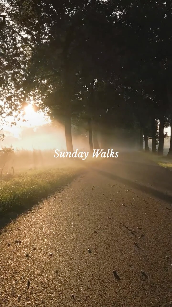 🌿 Sunday Walks for a Balanced Lifestyle 🌿
I love a good walk either by myself or with family and friend’s. I miss walking through the countryside however I do love a stroll through the city where you find some beautiful hidden gems. That’s why I love Sundays which for me is the perfect time to reset and recharge for the week ahead and there’s nothing quite like a peaceful walk to clear your mind and reconnect with yourself. Walking isn’t just good for the body, it’s great for the soul! It helps reduce stress, improve focus, and spark creativity.
At Simmy’s Helping Hands, we’re all about creating balance. By freeing up your time with our cleaning and home help services, you get more hours to focus on what truly matters like enjoying Sunday walks, spending time with loved ones, or investing in self-care.
Let us take care of your home while you take care of you.
What’s your favorite Sunday self-care ritual? Drop it in the comments below! ⬇️
#SimmysHelpingHands #SundayReset #SelfCare #WorkLifeBalance #TimeForYou #HealthyLifestyle #CleanHome #londonwalks #londoncleaningcompany #walkingthroughtheforest #createthelifestylethatworksforyou
#TidySpaceTidyMind #londonliving
#OrganizedHome #londonlife🇬🇧 #londoncleaningcompany
#CleaningMotivation #londonhomehelp
#HomeOrganization
#DailyCleaningRoutine #mylifestyle
#CleaningTips
#CleanHouseCleanMind #londonwalking
#CleaningObsessed