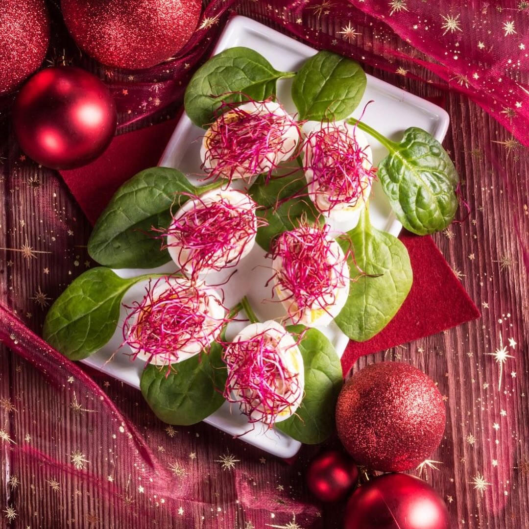 Rödbetsgroddar! 💗✨🎄
De är inte bara otroligt nyttiga – deras röda, härliga färg gör dem till en magisk dekoration på julens rätter. Perfekta som topping på allt från ägg till smörgåsar. 💖🥗
Ge julbordet det lilla extra med naturlig skönhet och smak! Ekologiska är de också! 🌱🌟
#rödbetsgroddar #julmat #eko #ekologiskt #nyttogrönt