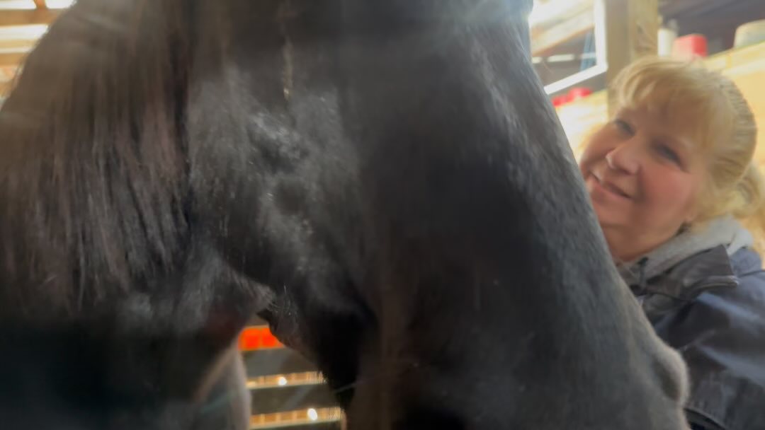 Ace enjoying his Beemer treatment