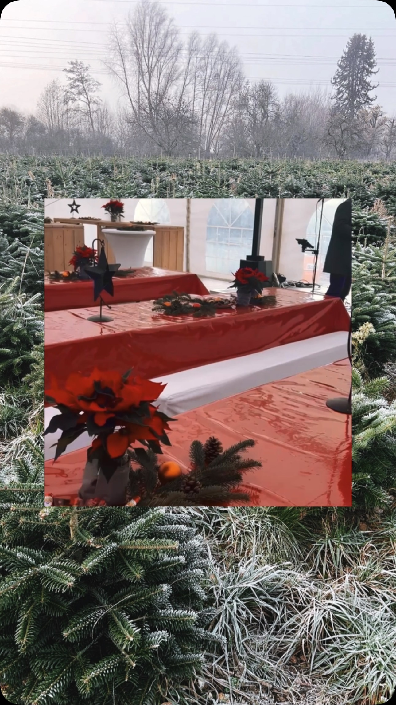 Beim alljährlichen Tannenbaumschlagen am 1. Advent im tiefsten Taunus durften wir wieder über 500 Erwachsene und 250 Kinder begrüßen.
Im „Winter Wonderland“ war sowohl für die kleinen, als auch großen Gäste einer Frankfurter Rechtsanwaltskanzlei jede Menge geboten.
Es war uns eine große Freude!🌲❄️🍷 #diegabel_cateringevents #cateringfrankfurt #cateringrheinmain #winterwonderland #christmastime #christmastree