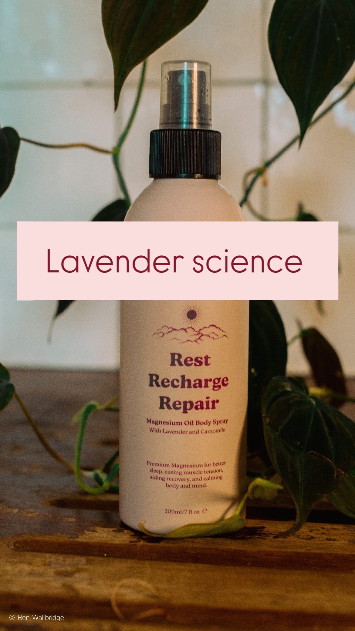 Some great research showing just how effective lavender is on our calming mechanisms
The effect of lavender on stress in individuals: A systematic review and meta-analysis
https://www.sciencedirect.com/science/article/pii/S0965229922000346
#lavender #calm #calmness #essentailoils