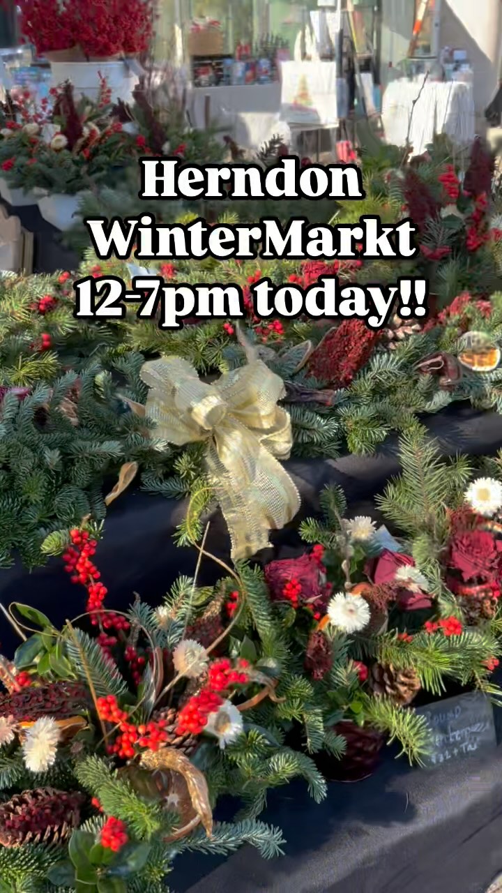 We’re at the Herndon Christmas Markt today. It’s open from 12-7pm. Check out some of the sights!!!
