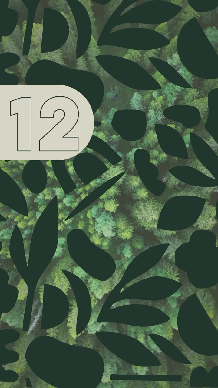 12/12 Portal ๐ซ๐ค - todayโs a powerful day for transformation and alignment! Use positive affirmations in your communication and reflect about the words and tone of voice you use to bring accross your message ๐ซถ๐ผ
.
Need help with your Visual Communication and Strategic Storytelling? Feel free to reach out ๐
.
#visualcommunication #strategy #contentcreator #visualidentity #visualart #sustainable #communicationtools #holistic #expression #hearttoheart #energy #frequency #vibration #1212 #portal #affirmations #alignment #transformation #growwithvision #sense #tree #studio
