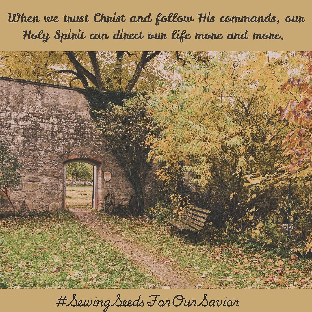 Hope you enjoy my new blog post. #sewingseedsforoursavior