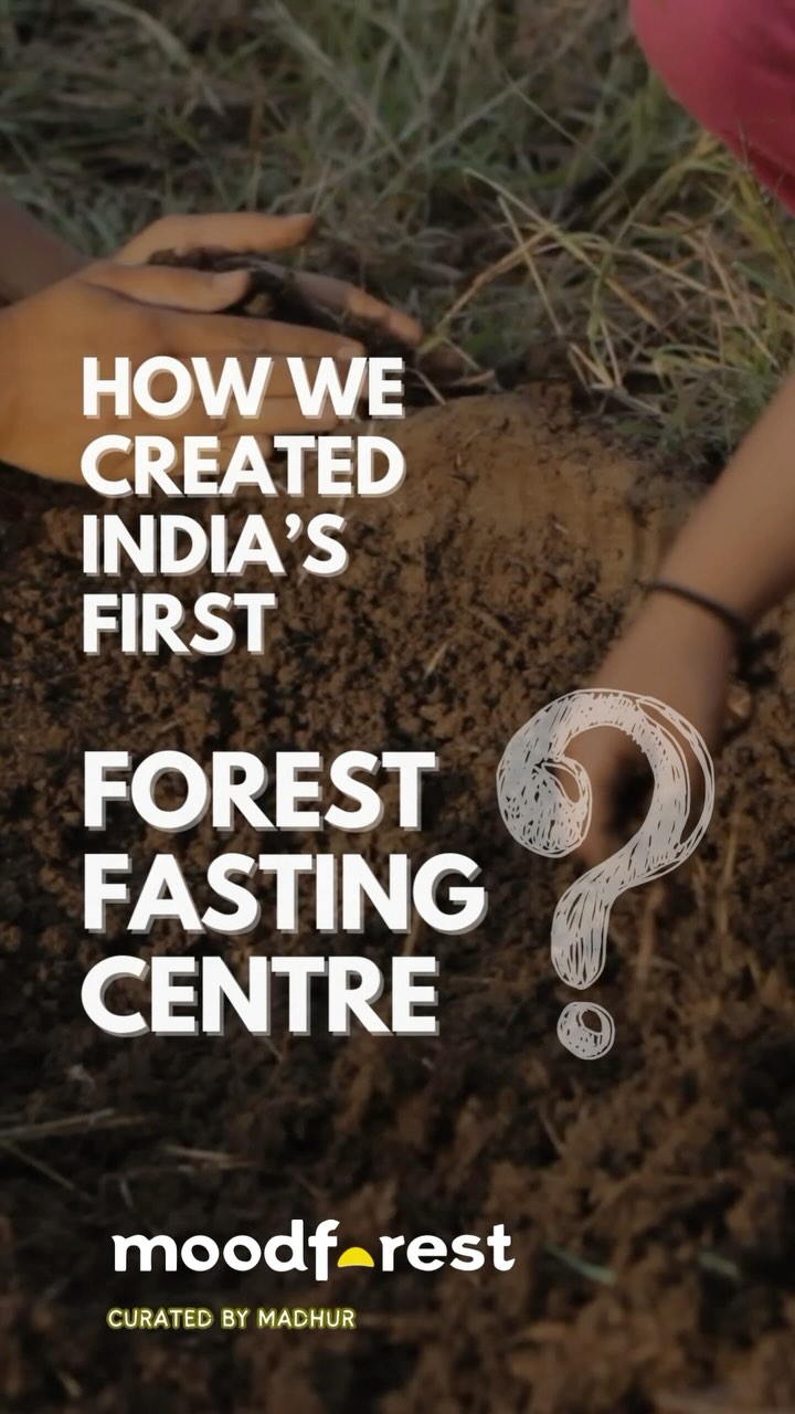 Creating India’s first forest fasting center 🌱
Most wellness solutions focus on treating symptoms rather than addressing root causes.
It started Vipin’s quest to solve lifestyle disorders through the science of epigenetics and autophagy and Madhur’s passion for emotional health and forest building.
Vipin and Madhur together set out to create a safe and sustainable experience for others.
Building Sehatvan wasn’t just about constrction. It was about designing a space that could hold people through intense fasting experiences while keeping them connected to the forest. Every detail had to serve both safety and transformation.
The biggest challenge? Trust. How do you convince people to come to a forest for a 5-10 day water fast? It’s not exactly a typical wellness retreat!
We had to build extraordinary trust through our measured protocols, community support, and evidence-based approach.
Traditional models weren’t much help. Medical facilities were too clinical, wellness retreats too luxurious, and ashrams too rigid.
We needed something entirely new!
Through iterations and learning from 350+ participants across 32+ camps, we developed a unique approach:
- The forest supports the fasting
- The community supports the individual
- Science and nature work together
Madhur conducted a separate Green Mind Study under guidance from Prof. Overbeek from University of Amsterdam which helped refine our methods for psychological impact. This opened up our eyes to an approach for bio-happiness - which is depleting very fast in our modern society.
Looking back, the real challenge wasn’t just building protocols or facilities - it was finding the right balance between nature, science, and human connection. A space we’re still evolving every day at Moodforest.
—
✨ Curious if forest fasting is right for you? We built a quiz to find out. Check link in bio ✨
#waterfasting #healing #nature #wellbeing #forestfasting #foresttherapy #biohappiness #wellness