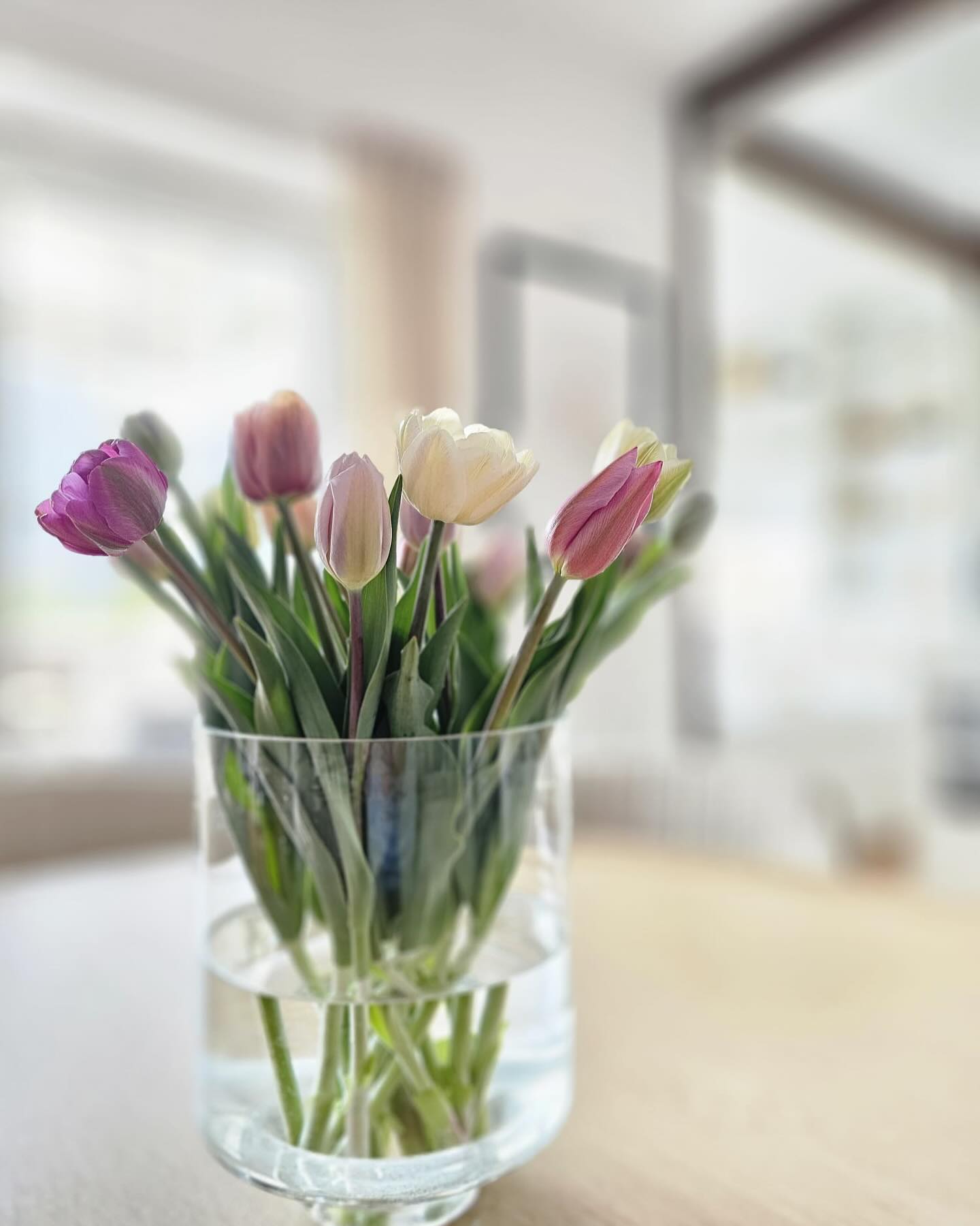 Vorfreude ist bekanntlich die schönste Freude. Und somit das beste Geschenk. Vorfreude auf den Frühling und den Sommer kann man als Abo verschenken. Eine wunderbare Geschenksidee für eure Liebsten, die immer wiederkehrend Freude bereitet. Für einen gestalteten Gutschein, meldet euch gern bis 23.12.
#blumenzuweihnachten #blumenabo #blumendieanmorgendenken #frühling #sommer #weihnachten #tulpen #spring #tulips #slowflowers
Pic by @styrialandchic