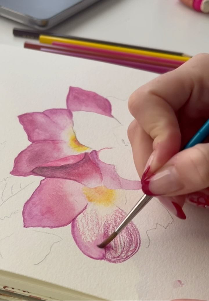 Watercolour drawing with watercolour pencils. #nature #florals #textiles #handdrawn #handpainted #textilesdesign #smallbusiness
